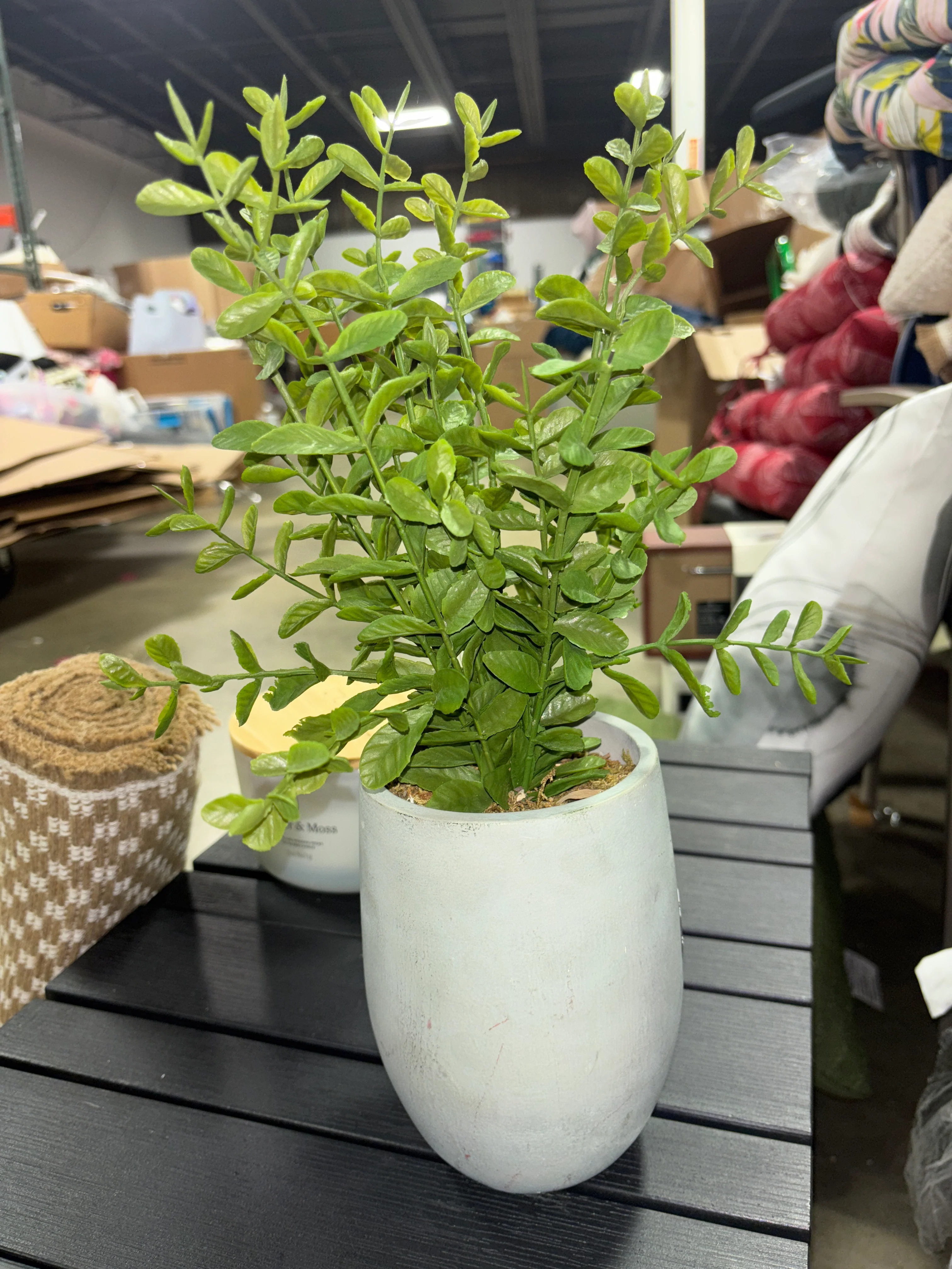 14" Artificial Potted Privet SHOWROOM ITEM - Image 2