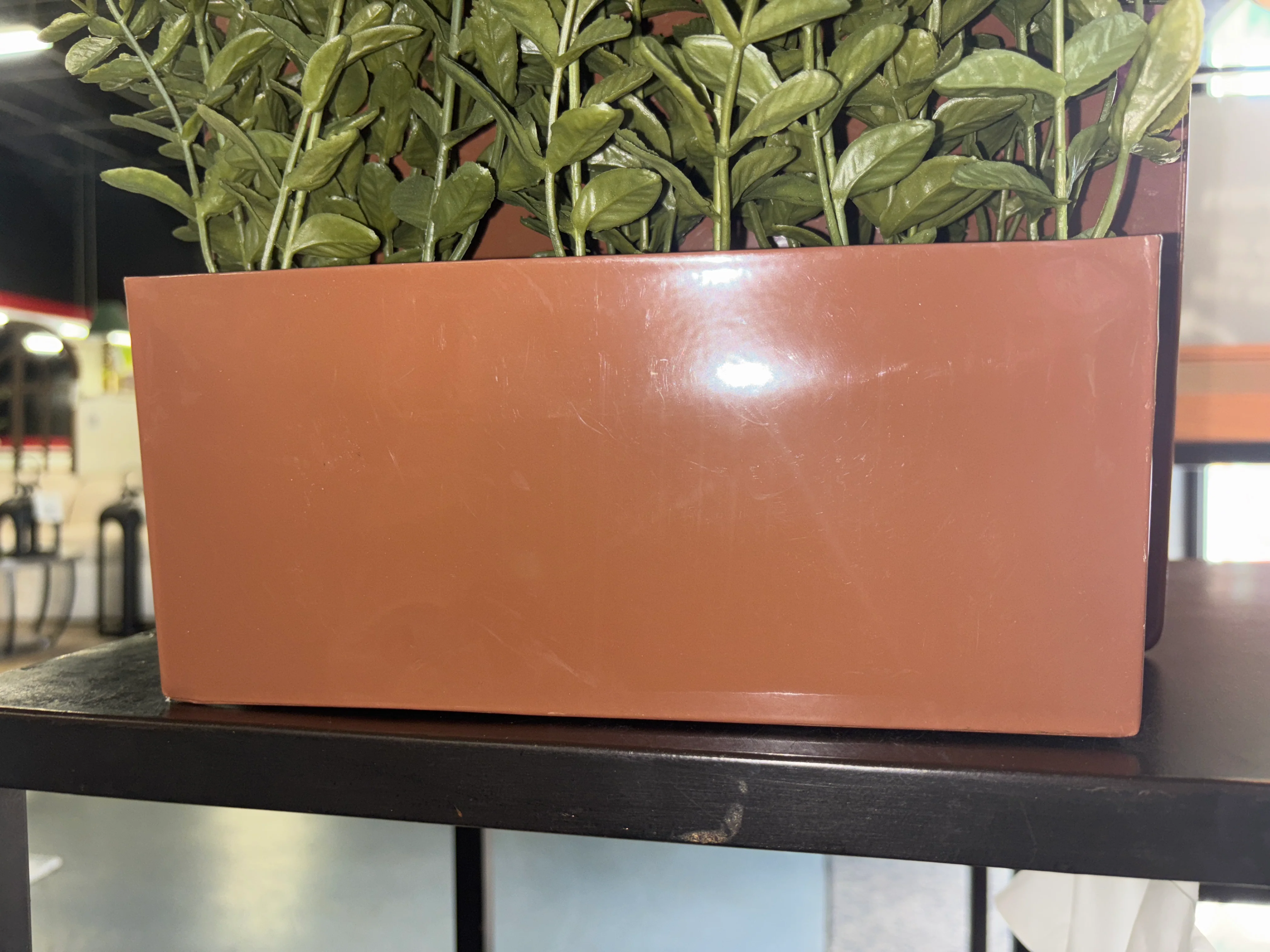 14" Hanging Artificial Privet in Wall Box SHOWROOM ITEM - Image 3