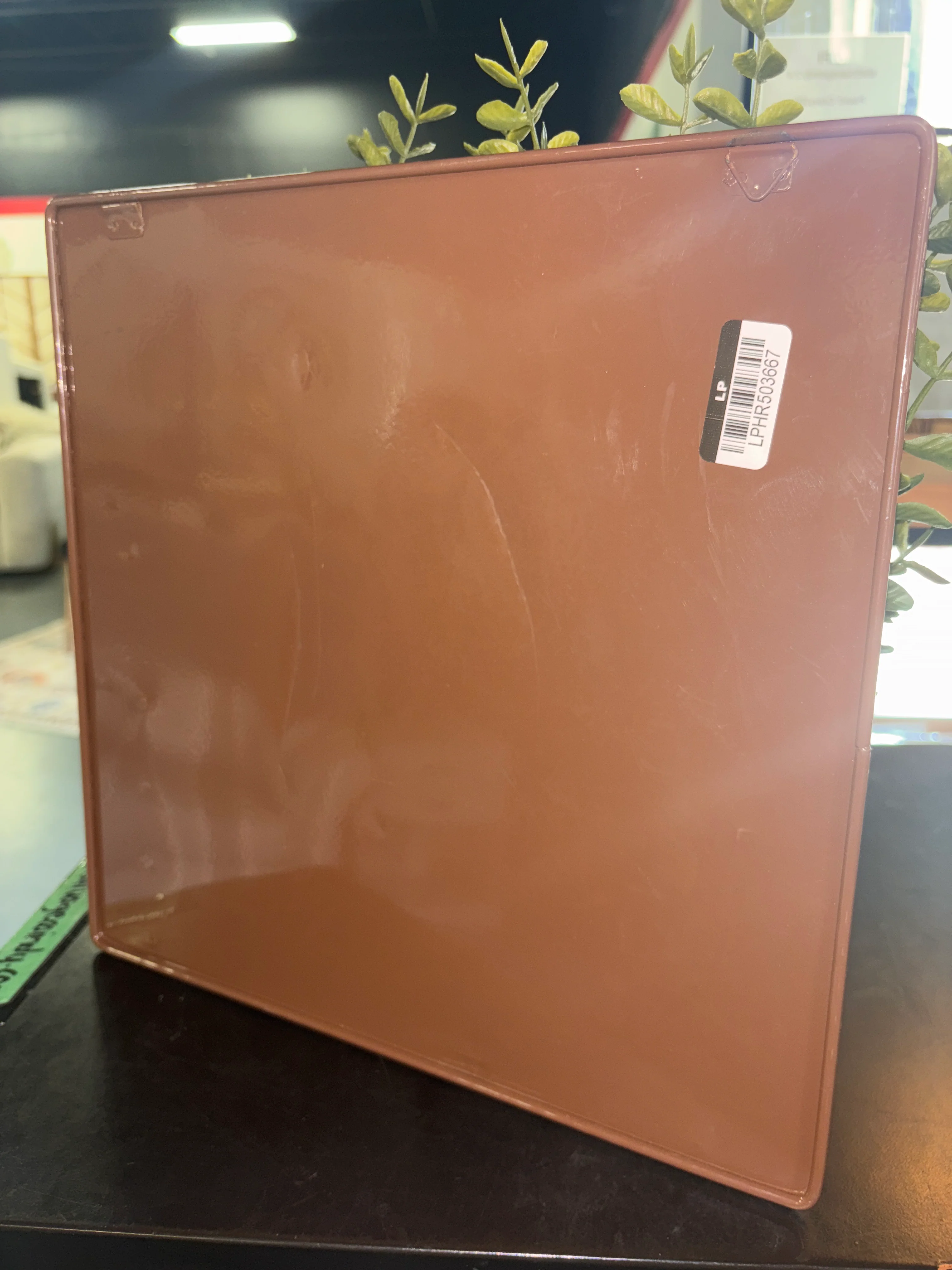 14" Hanging Artificial Privet in Wall Box SHOWROOM ITEM - Image 5