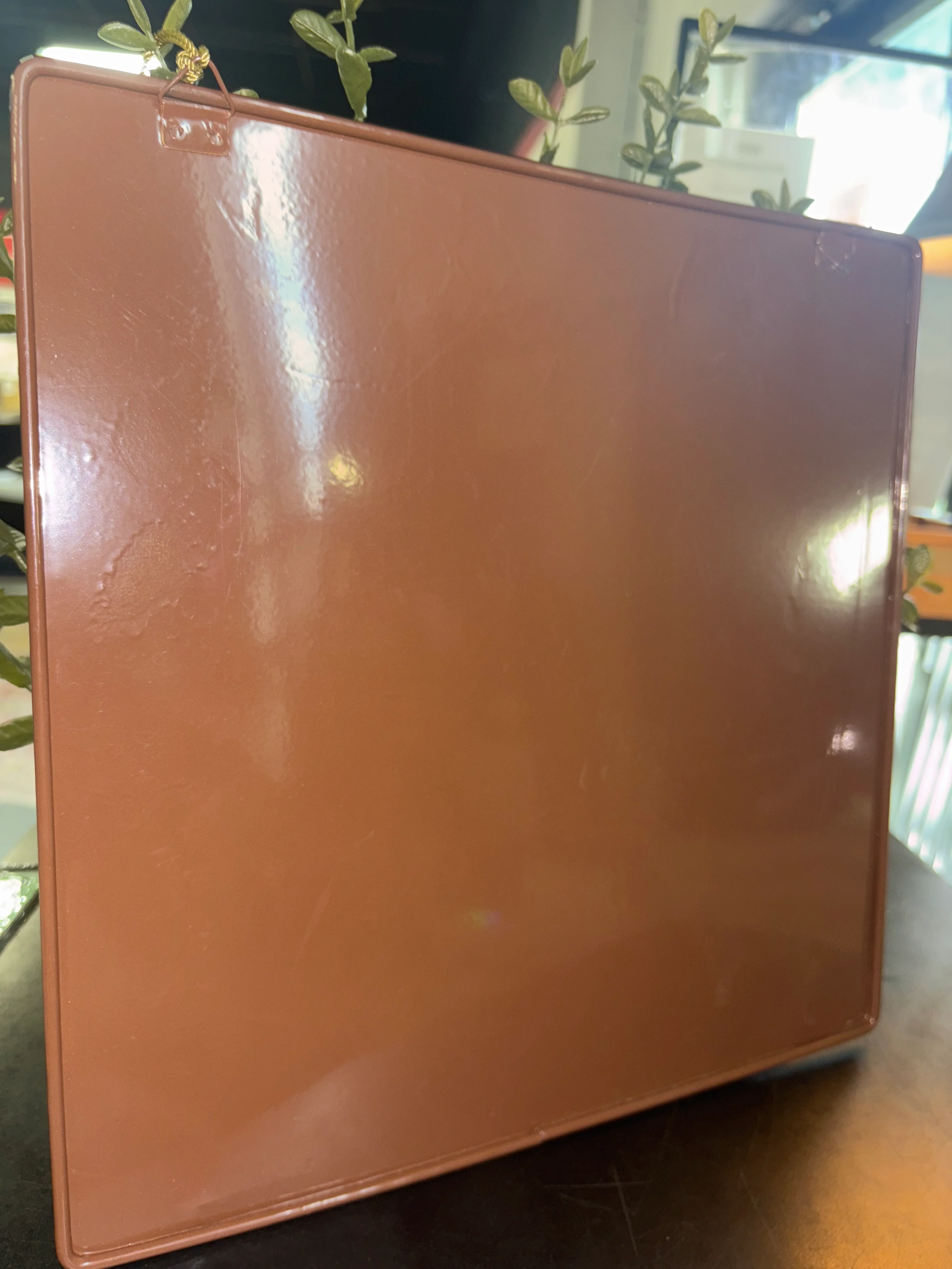 14" Hanging Artificial Privet in Wall Box SHOWROOM ITEM - Image 5