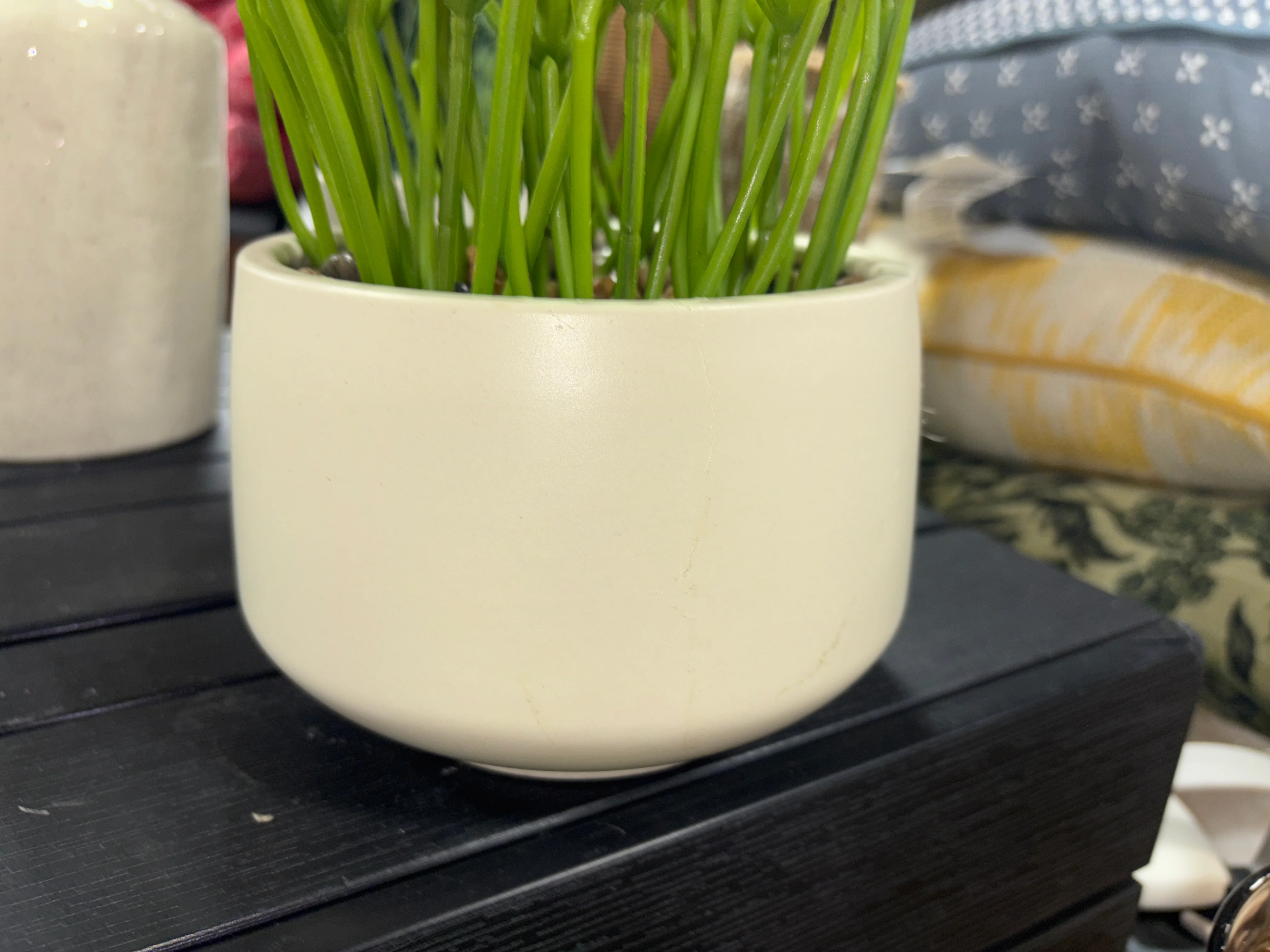 16" Artificial Pencil Cactus Dish Garden SHOWROOM ITEM - Image 4
