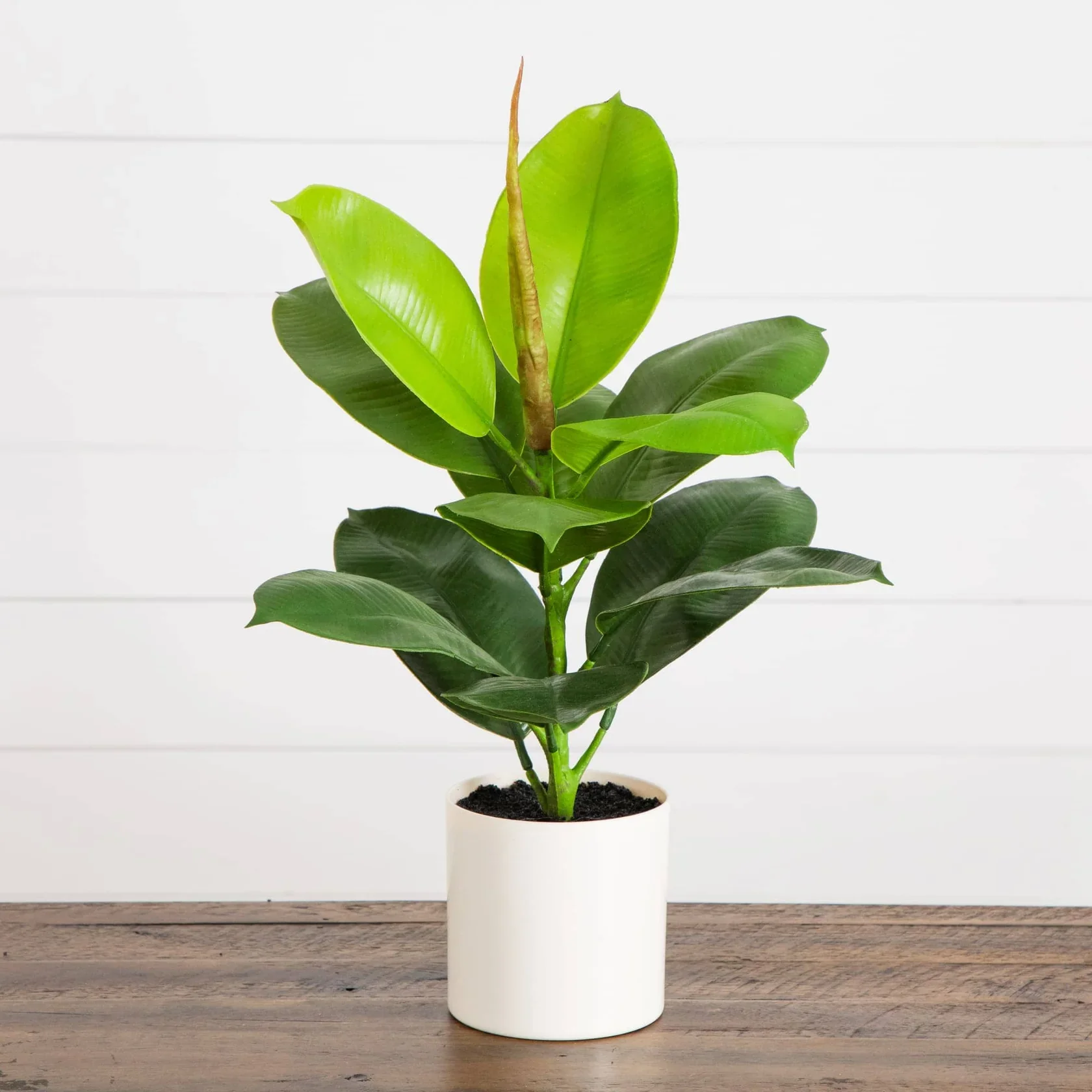 20" Artificial Fiddle Leaf Fig Plant SHOWROOM ITEM