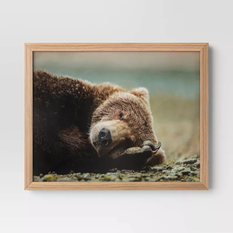 20" x 16" Bear Photography Framed Art Brown SHOWROOM ITEM