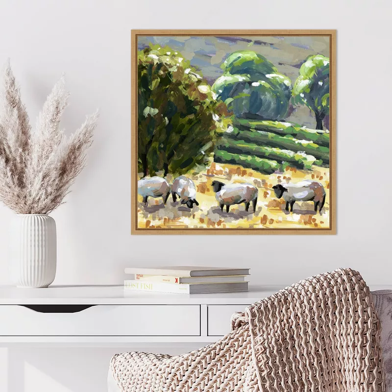 22"x22" Sheep in Summer I Framed Canvas SHOWROOM ITEM