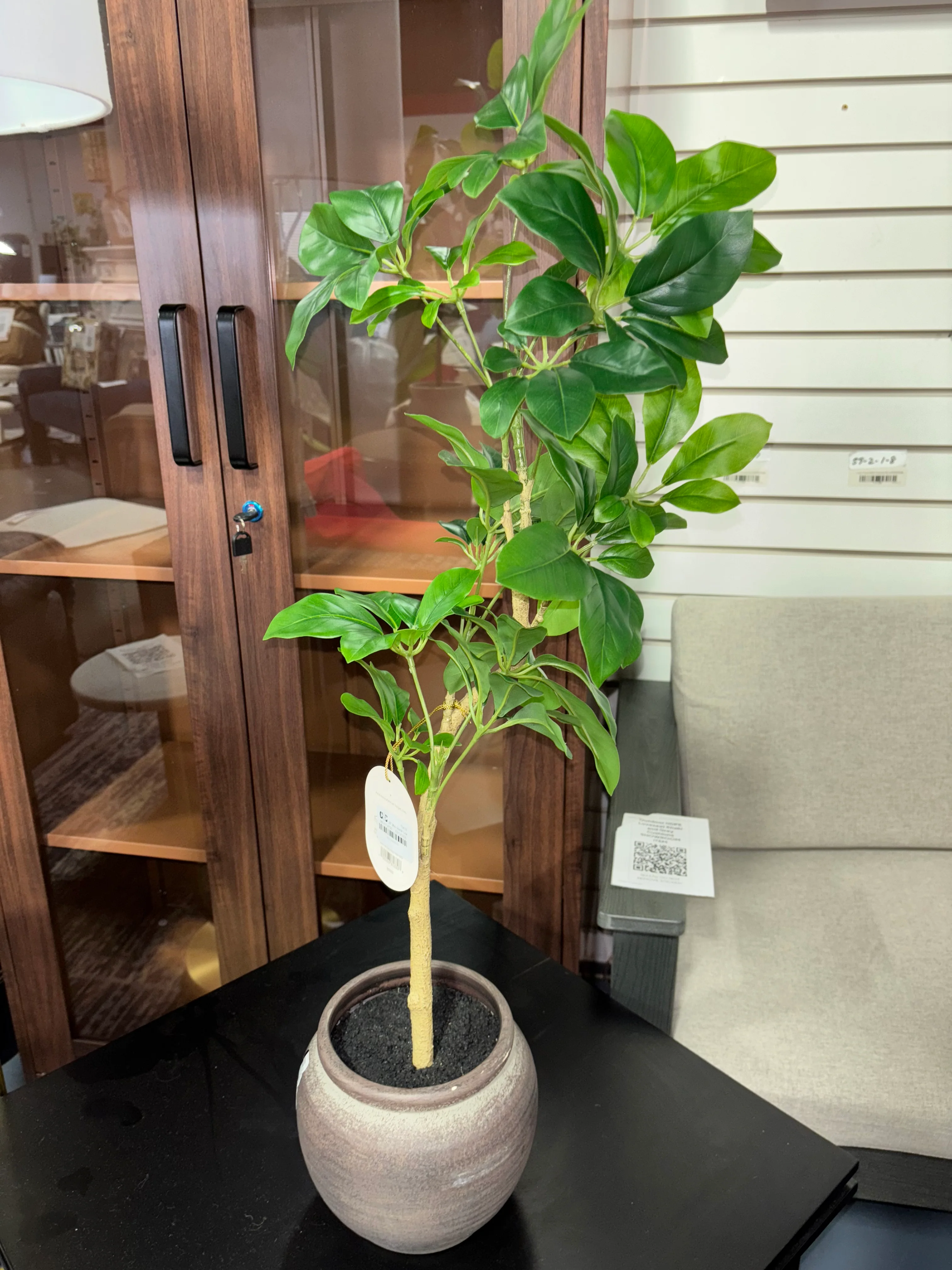 26" Mini Spade Leaf Tree SHOWROOM ITEM - Image 2