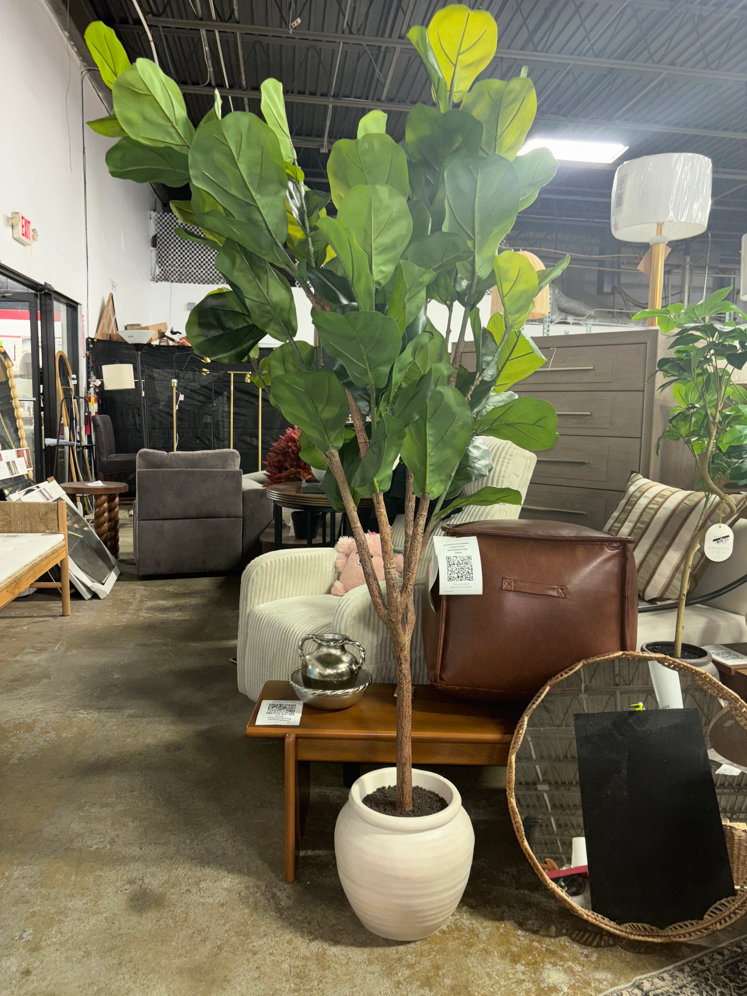 Artificial Fiddle Leaf Tree SHOWROOM ITEM - Image 2