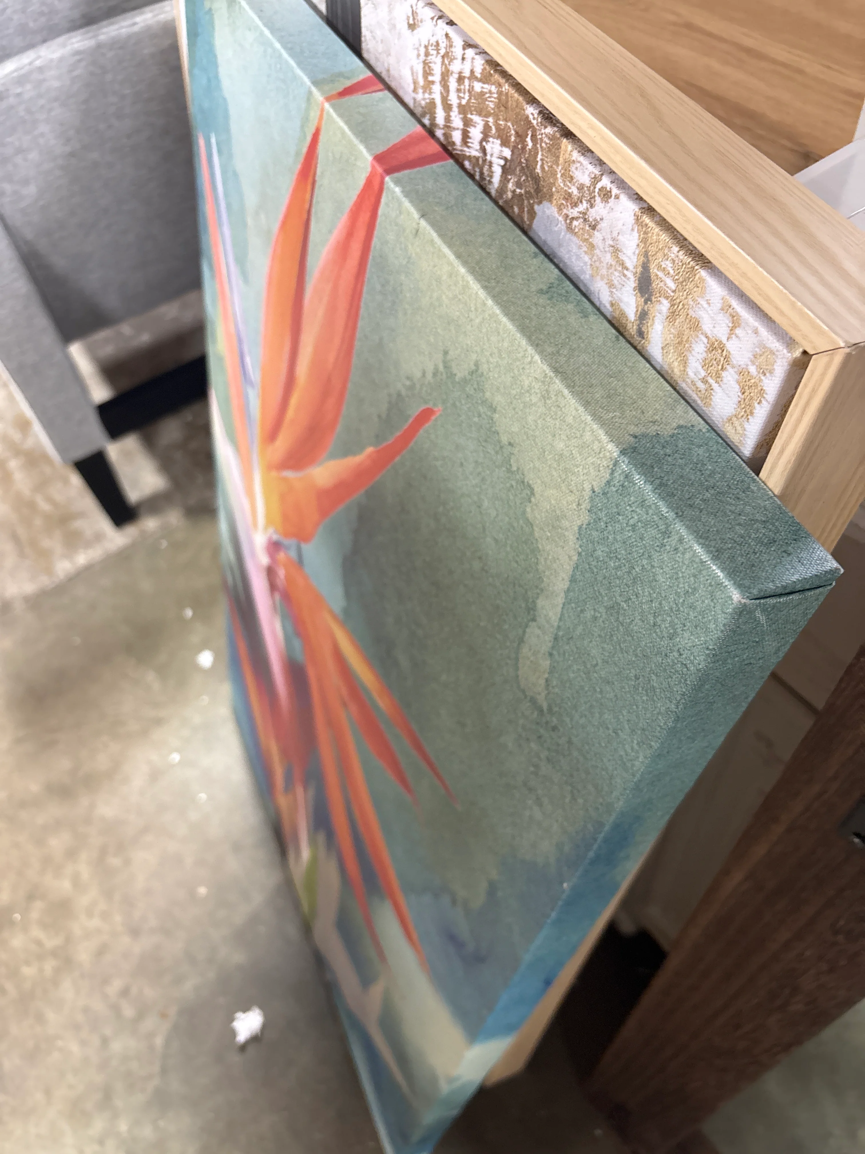 36"x24" Vivid Birds Of Paradise II Wrapped Canvas SHOWROOM ITEM - Image 3