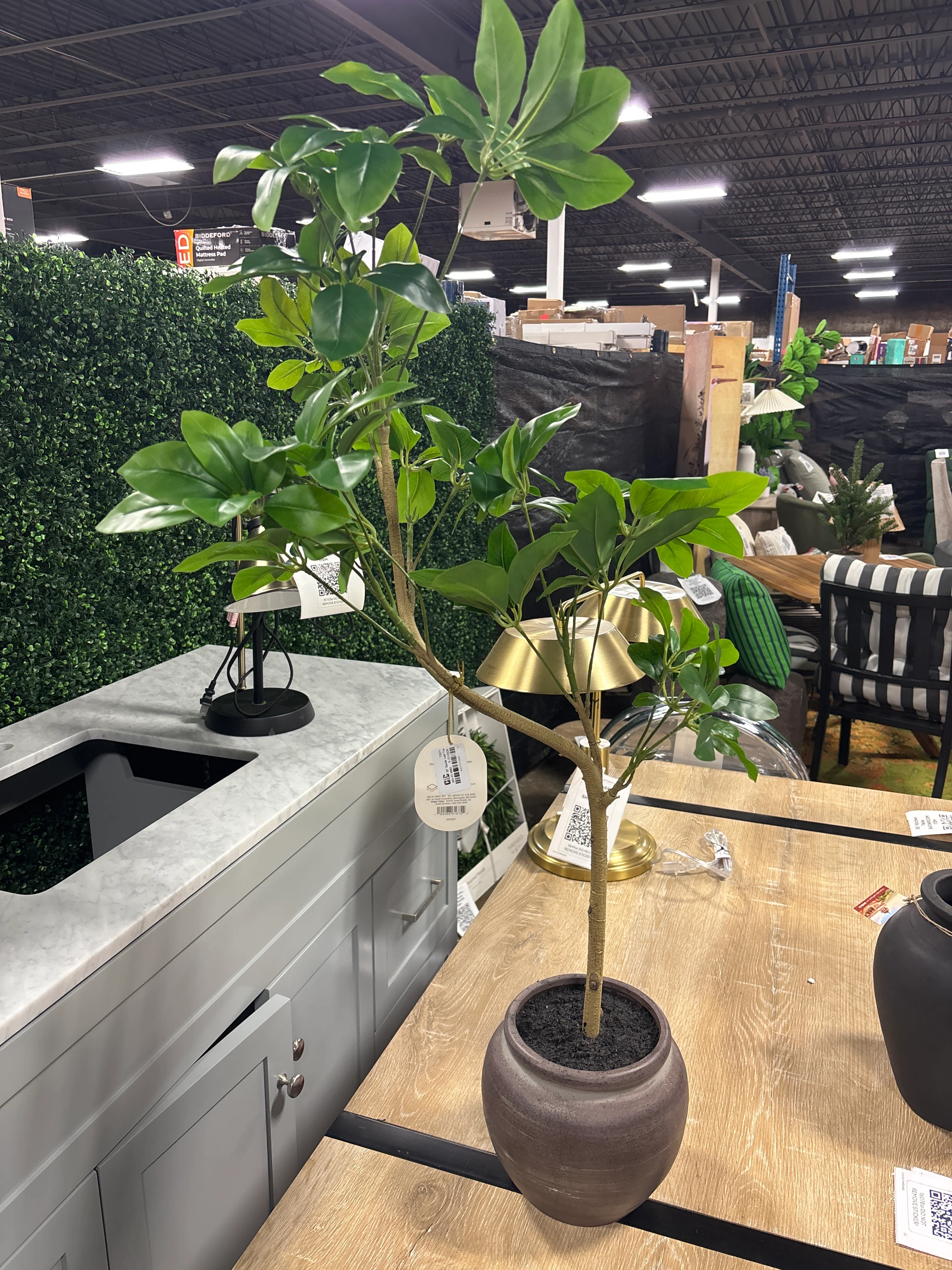 39" Spade Leaf Tree in Pot SHOWROOM ITEM - Image 3