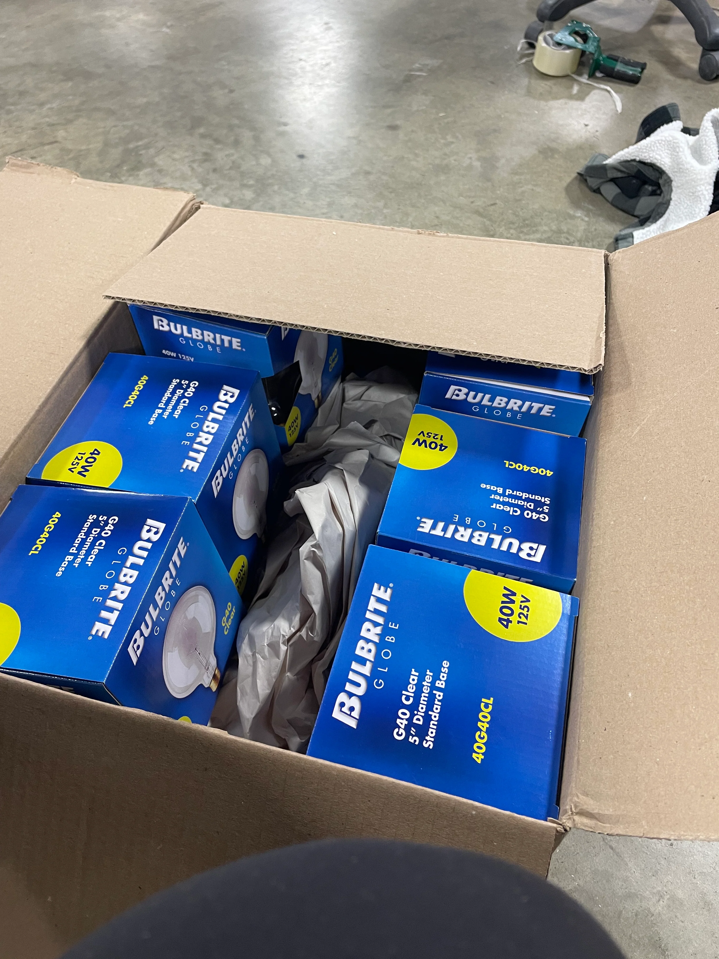 (Standard) Dimmable 2700K Incandescent Bulb (Set of 12) - Image 3