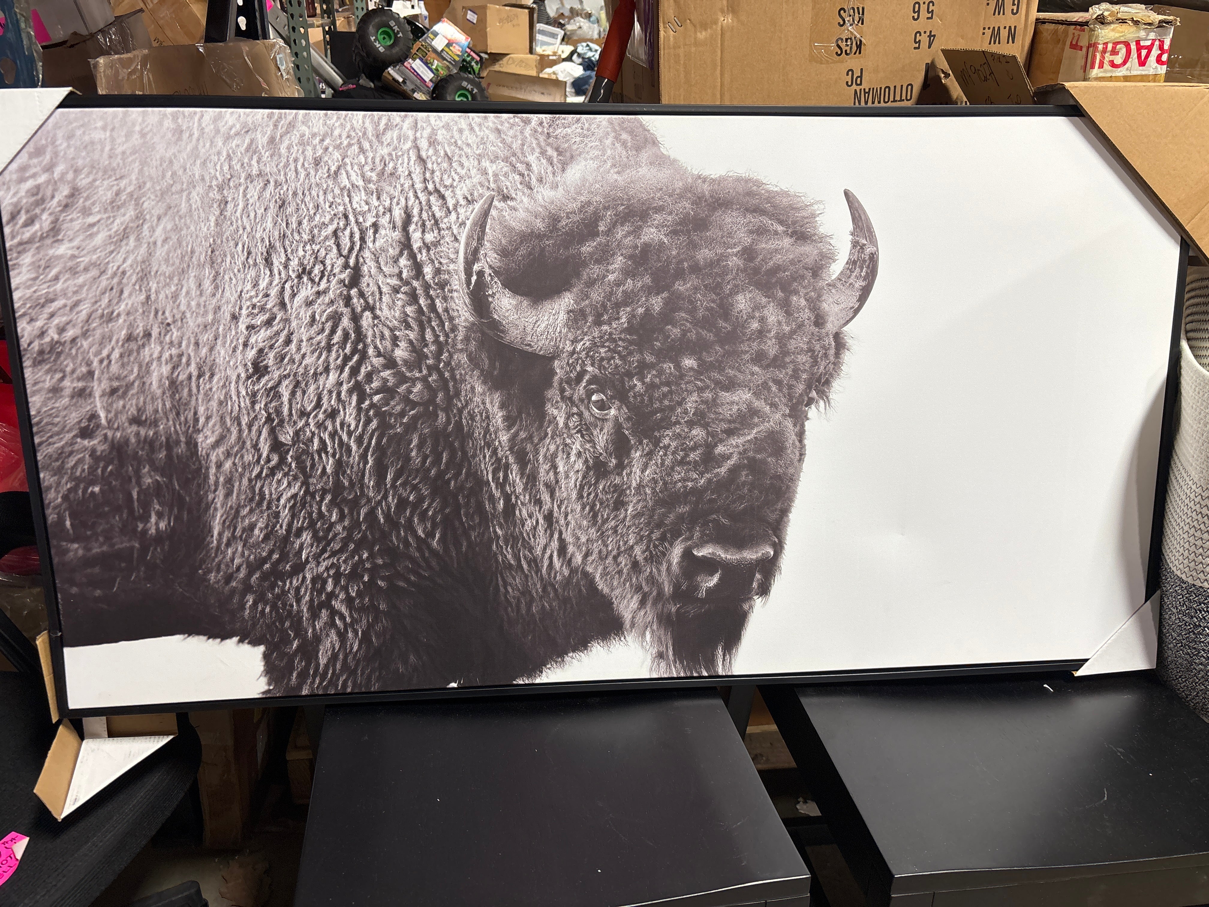 47"x24" Buffalo Wall Canvas Black SHOWROOM ITEM - Image 2