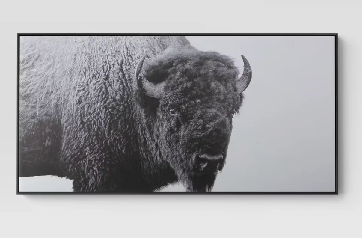 47"x24" Buffalo Wall Canvas Black - Threshold™ SHOWROOM ITEM