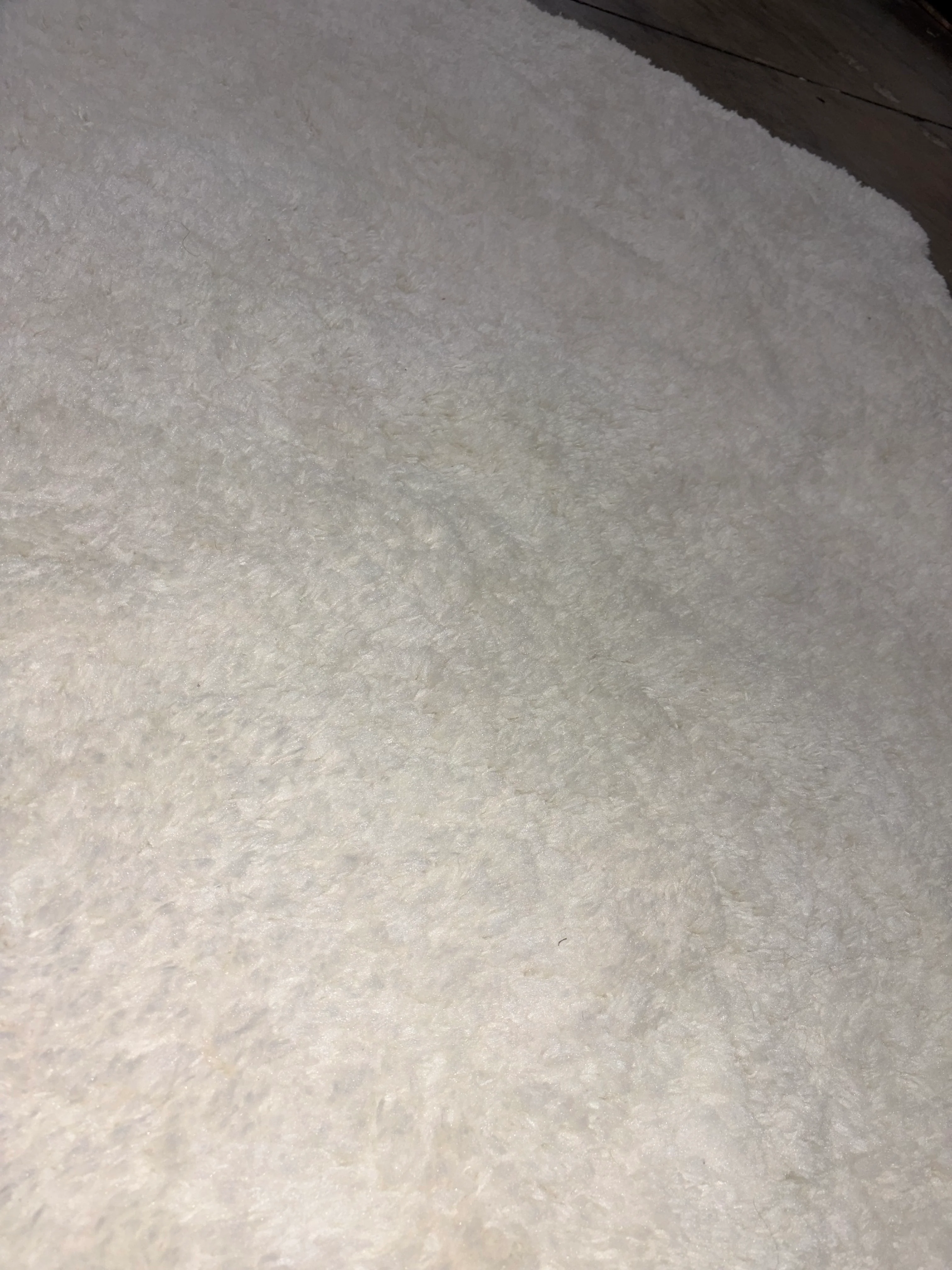 Washable Plush Shag Accent Rug Cream 4'x5'6" - Image 6