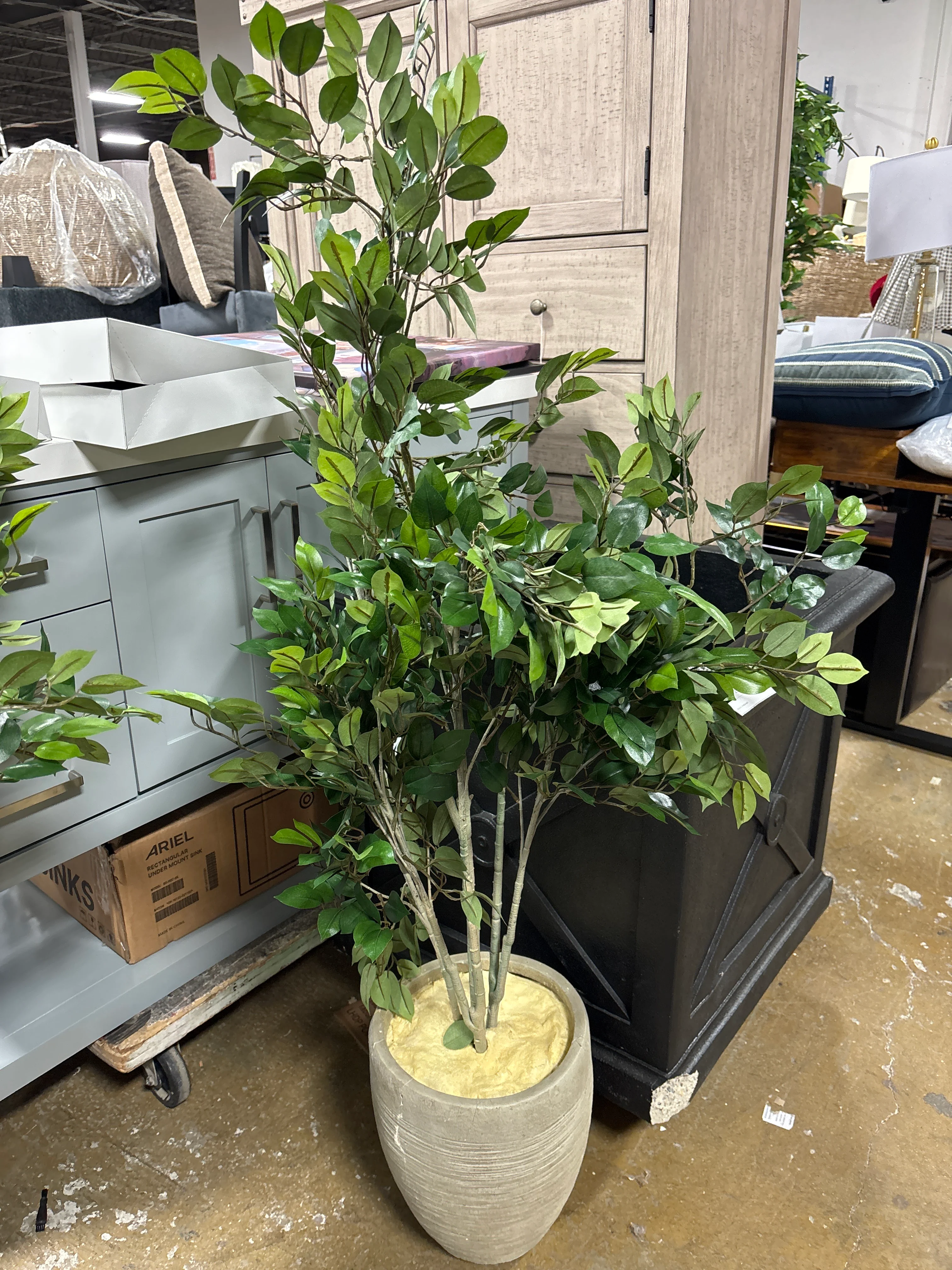 53'' Faux Ficus Tree in Earthenware Planter SHOWROOM ITEM - Image 2