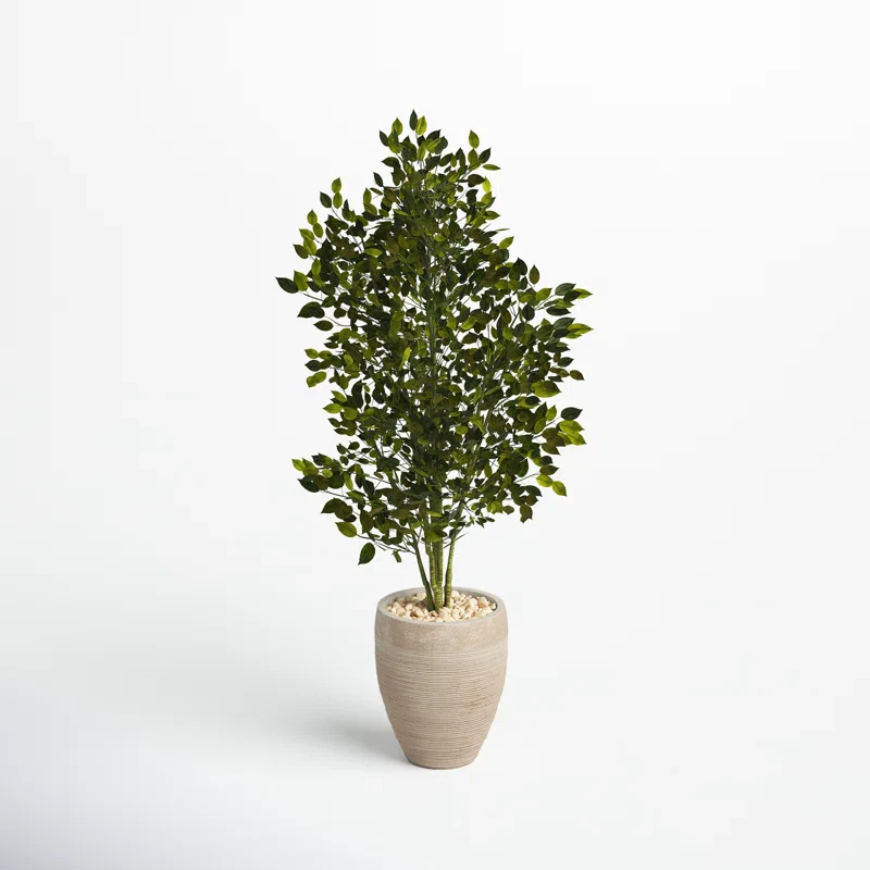 53'' Faux Ficus Tree in Earthenware Planter SHOWROOM ITEM