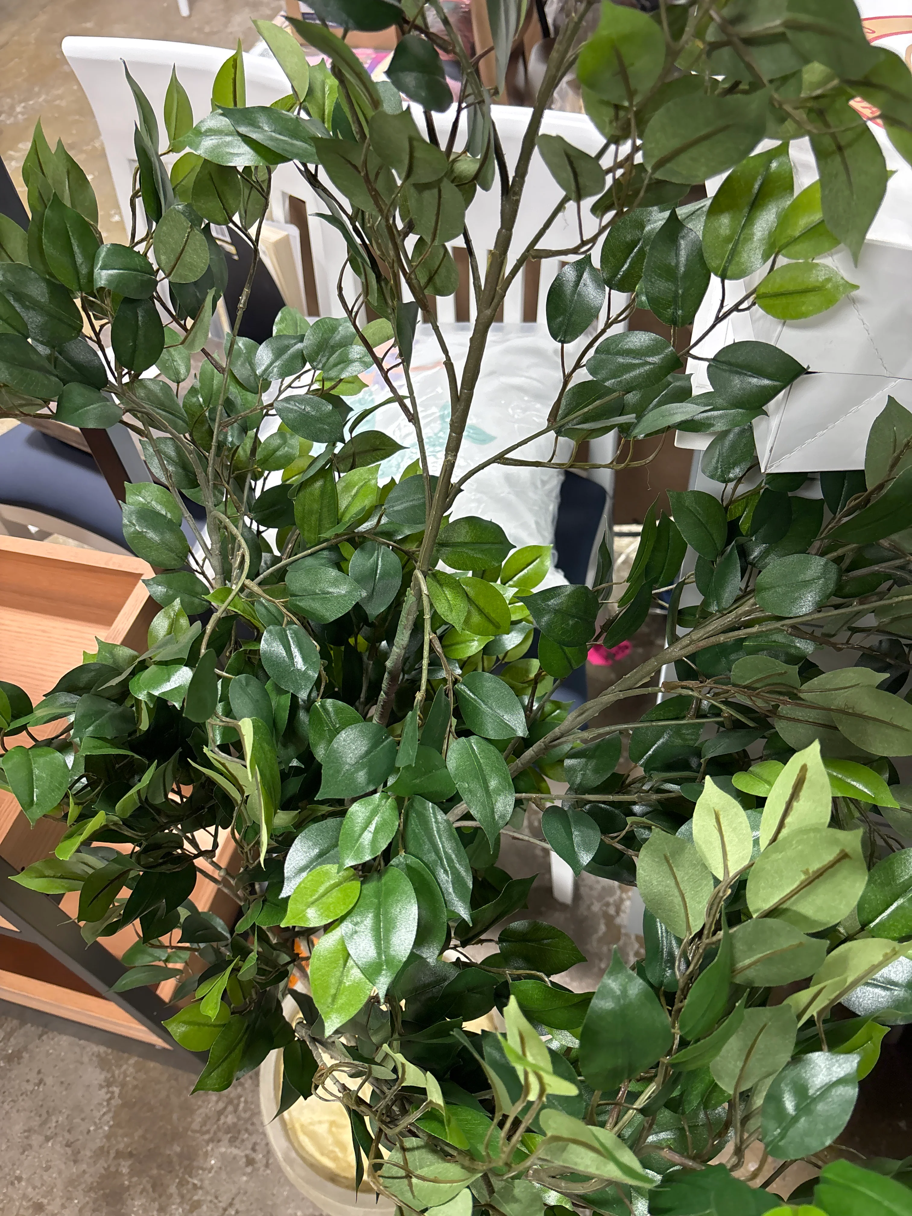 53'' Faux Ficus Tree in Earthenware Planter SHOWROOM ITEM - Image 4