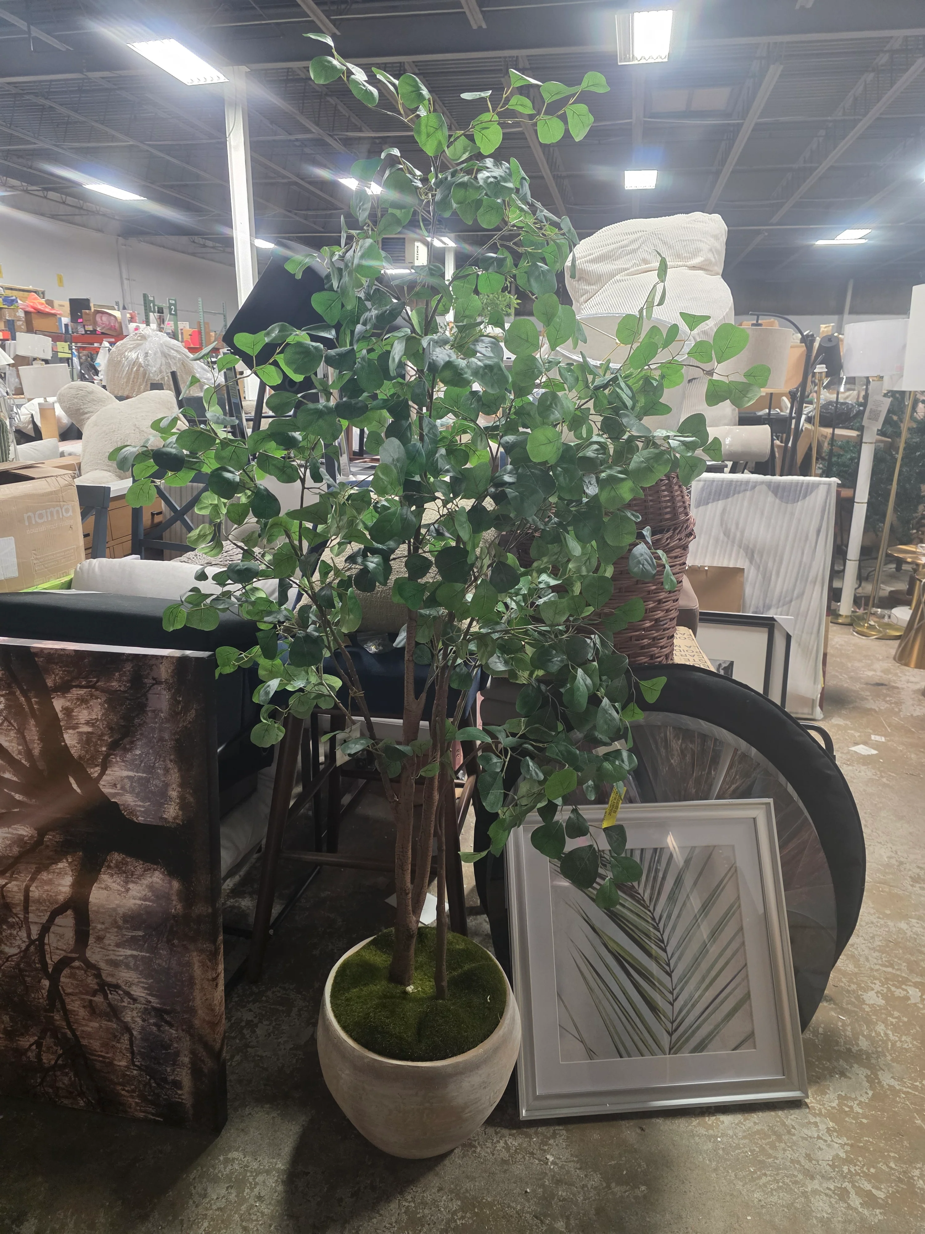 72" Artificial Ficus Tree - Threshold™ designed with Studio McGee - SHOWROOM ITEM - Image 2