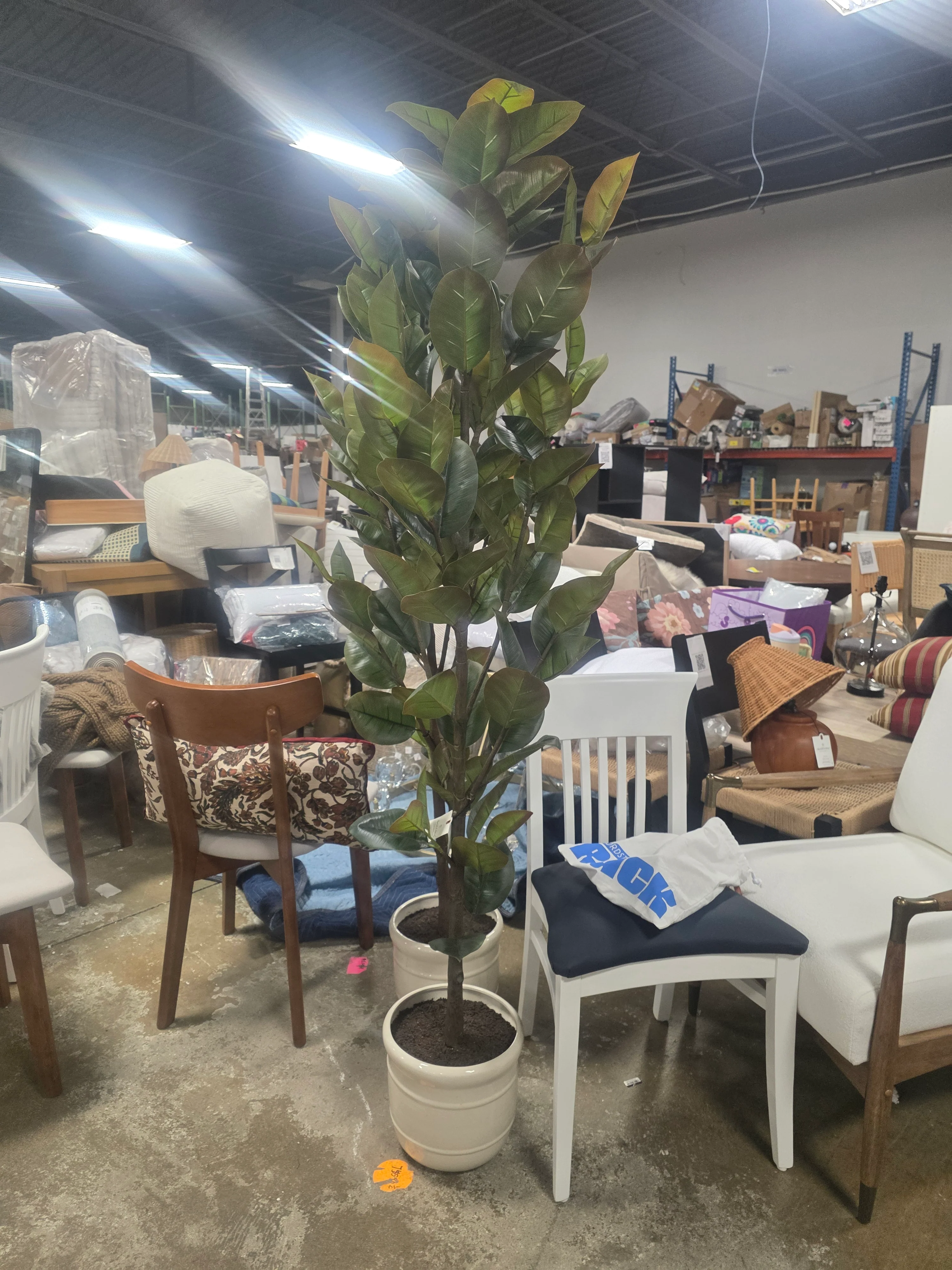 72" Faux Potted Rubber Tree - Hearth & Hand™ with Magnolia - SHOWROOM ITEM - Image 2