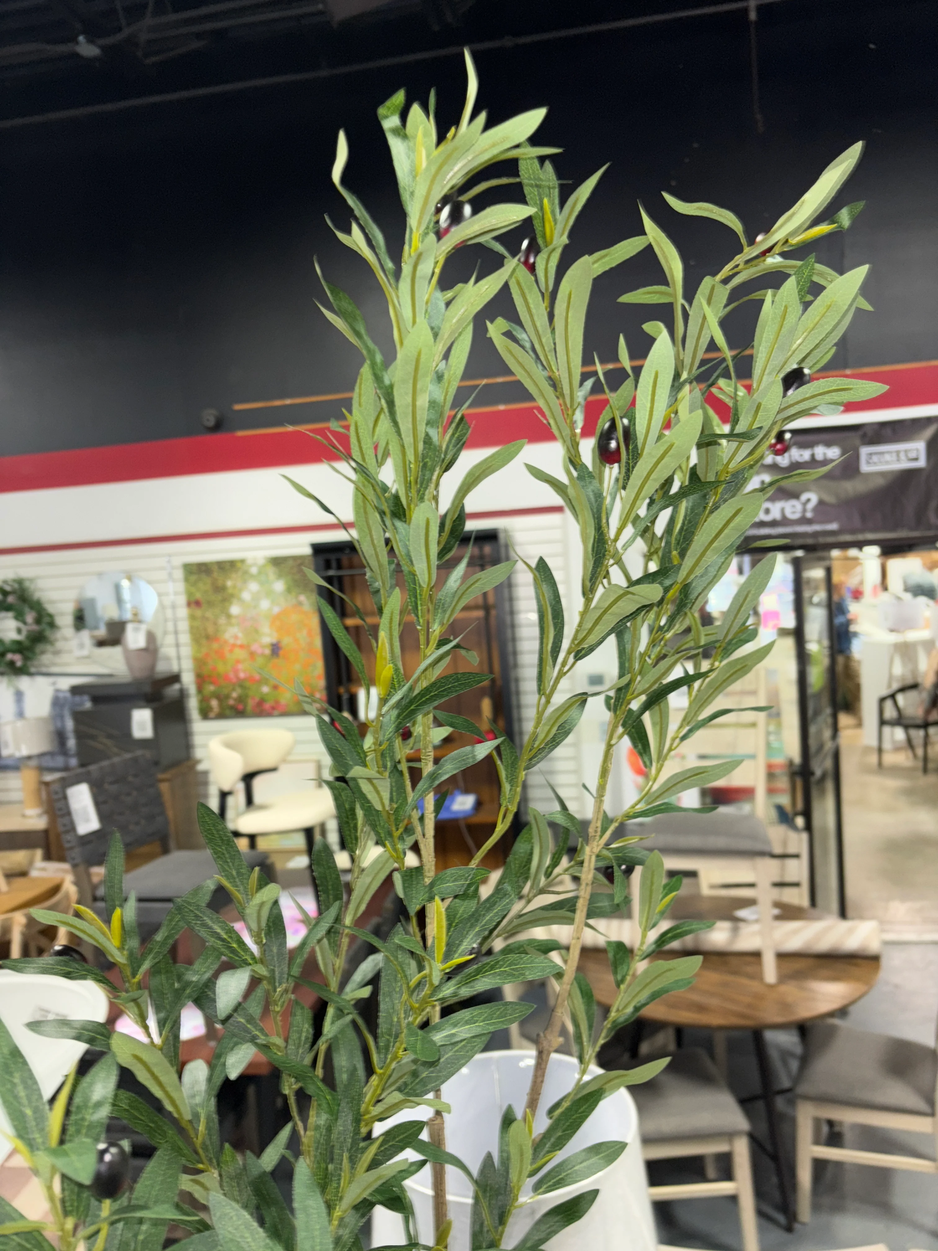 Adcock Artificial Olive Tree with White Planter SHOWROOM ITEM - Image 5