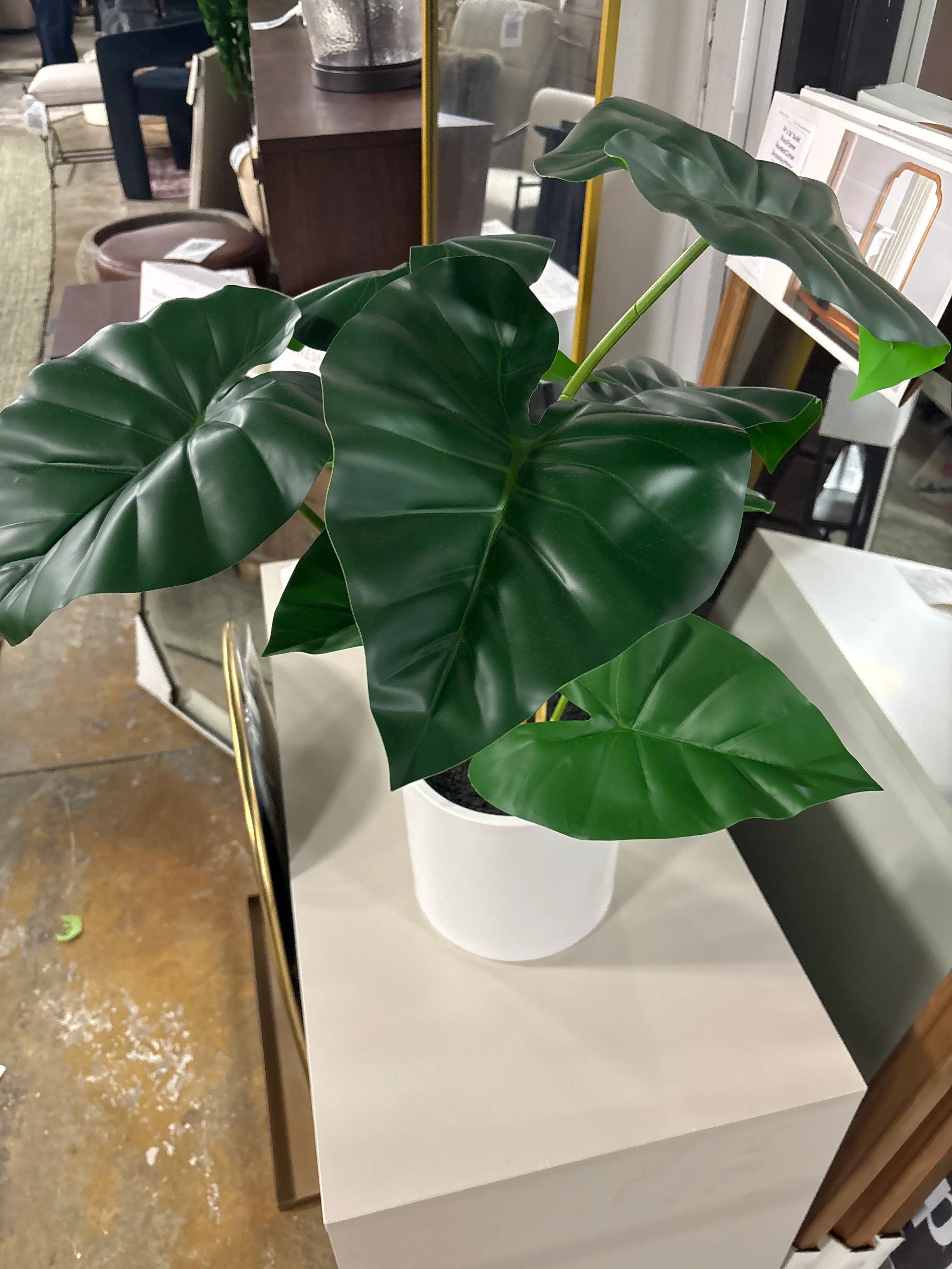 Alocasia Artificial Plant with White Pot SHOWROOM ITEM - Image 3