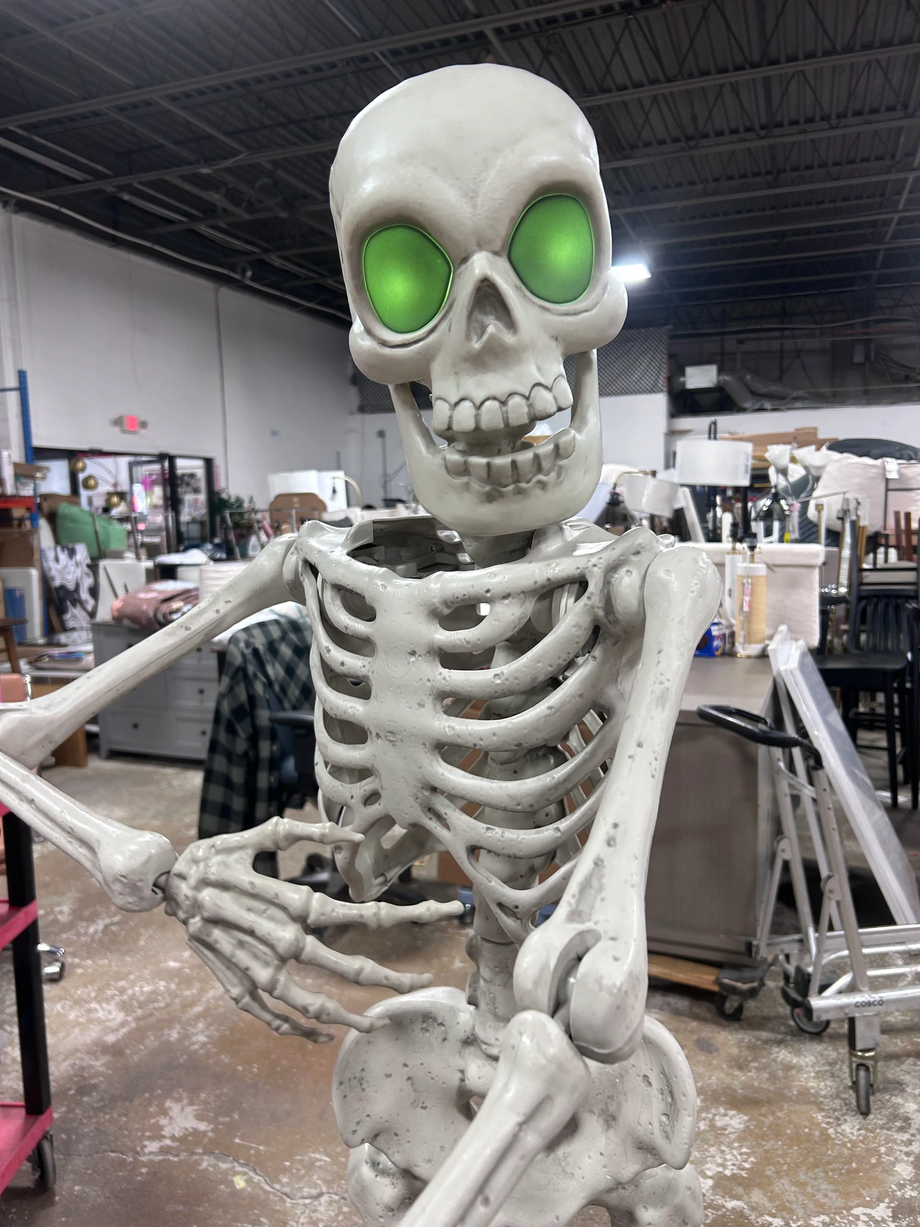 Animated Premium Skeleton Halloween Scene Prop - Image 3