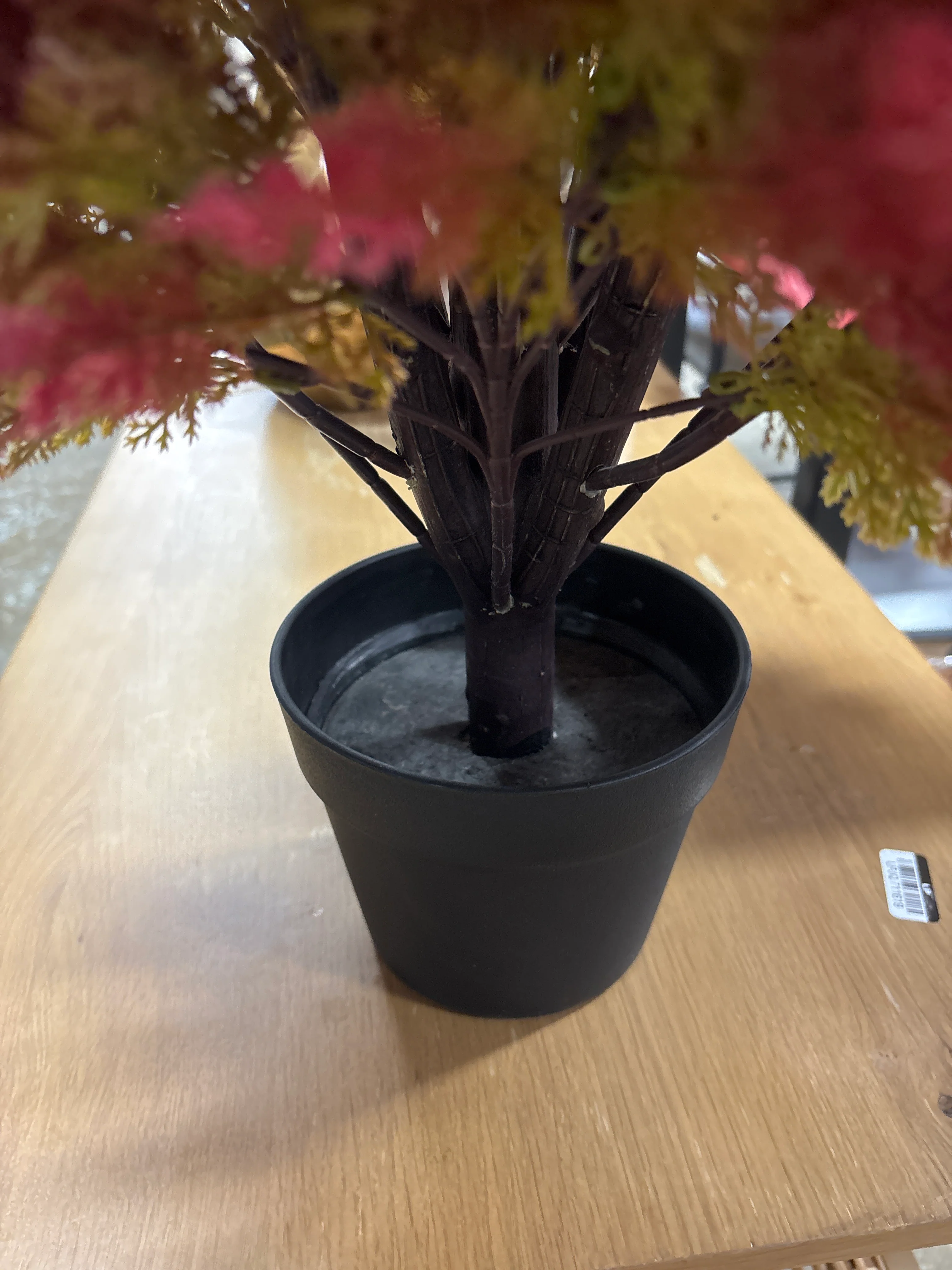 Artificial Cedar Topiary Ball Tree in Black Pot SHOWROOM ITEM - Image 5
