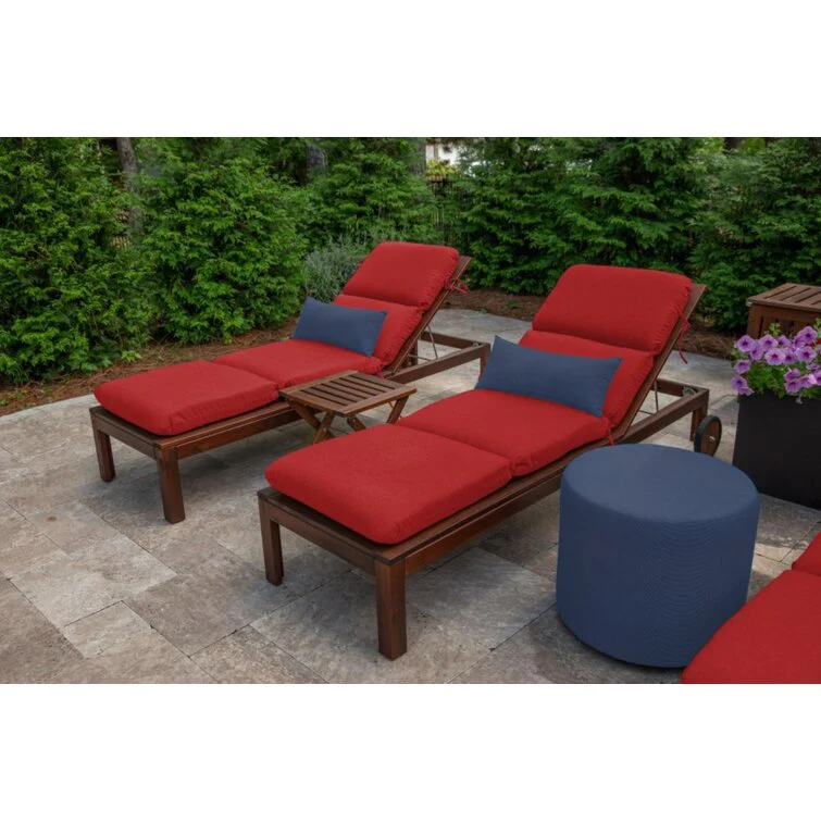 Ashok Outdoor Chaise Lounge Cushion,