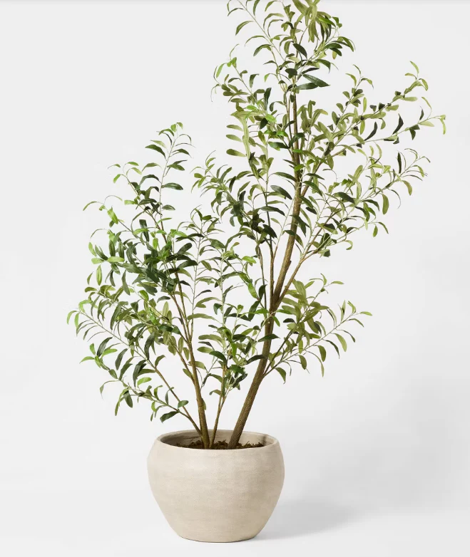 Asymmetrical Olive Tree - Threshold™ designed with Studio McGee SHOWROOM ITEM