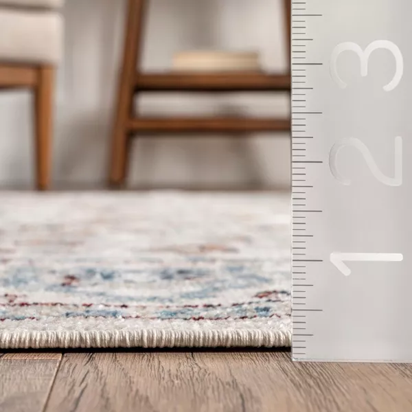 Cady Pet Friendly Machine Washable Transitional Area Rug 3'x5' - Image 3