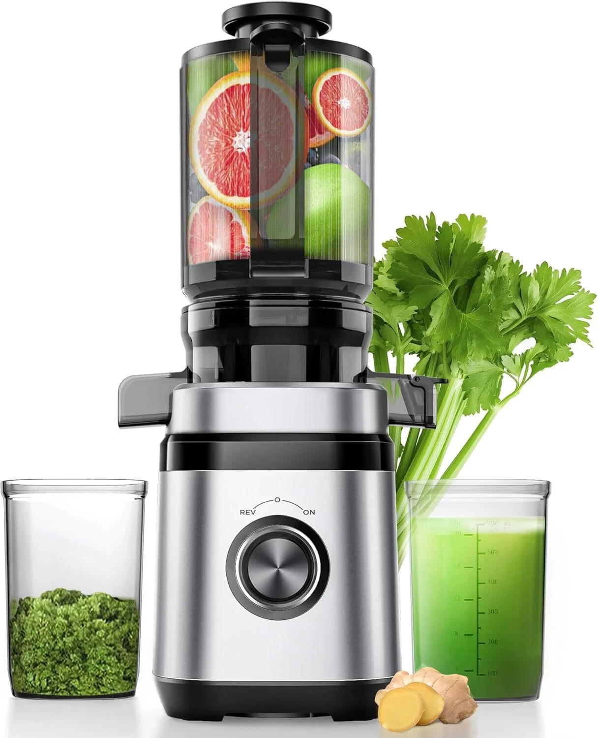 Cold Press Juicer