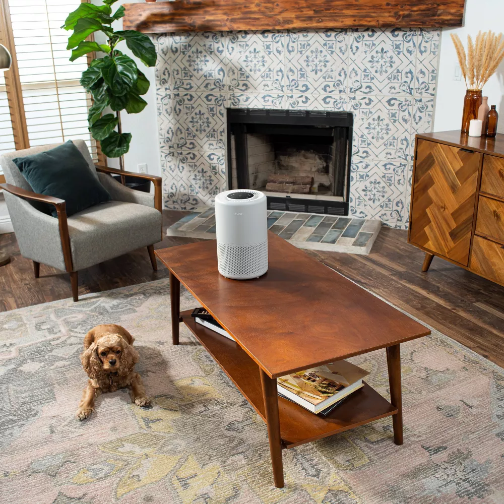 Core 200s Smart Air Purifier Gray - Image 5