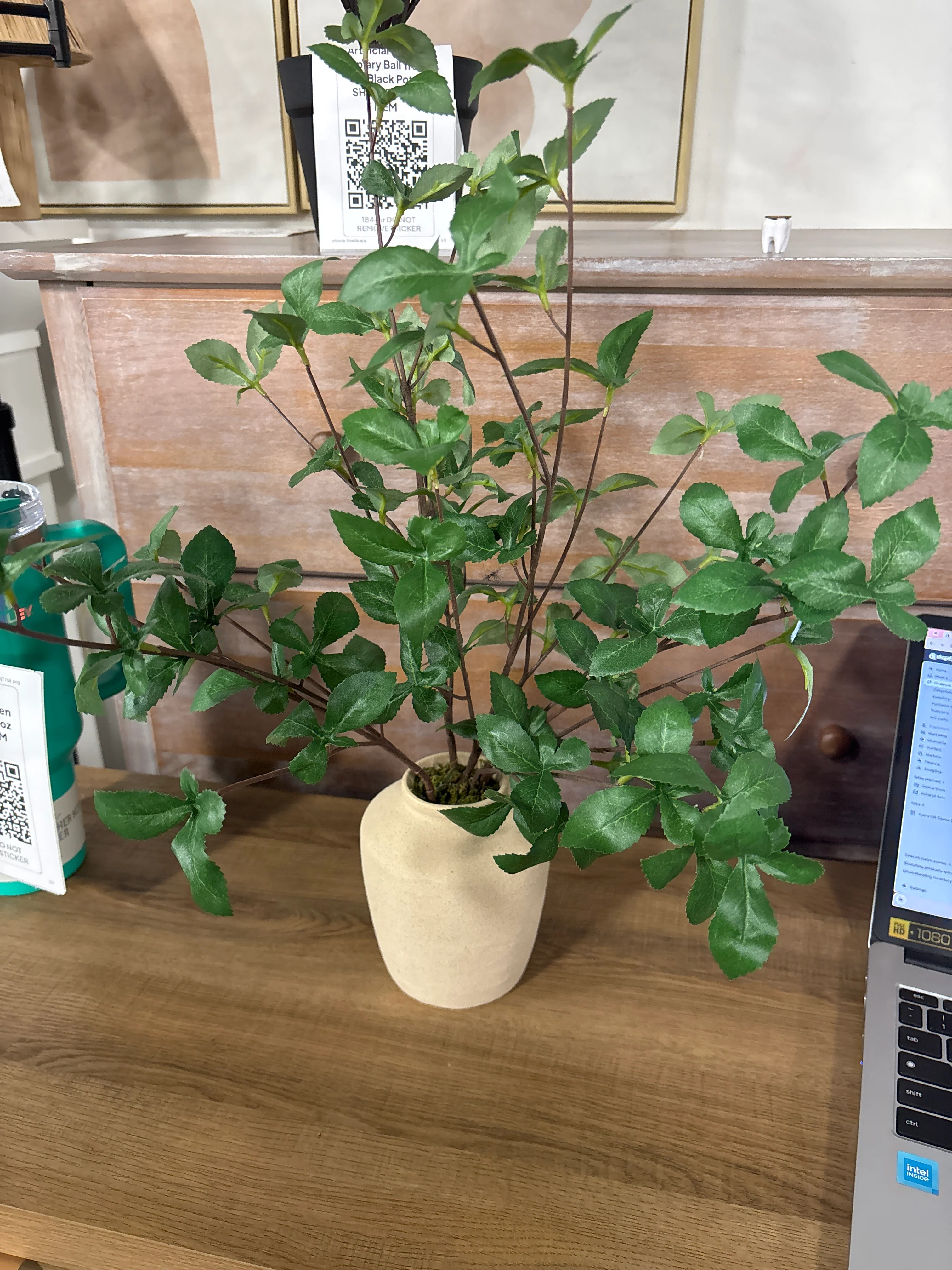 Faux Gypsophila Leaf Plant SHOWROOM ITEM - Image 2