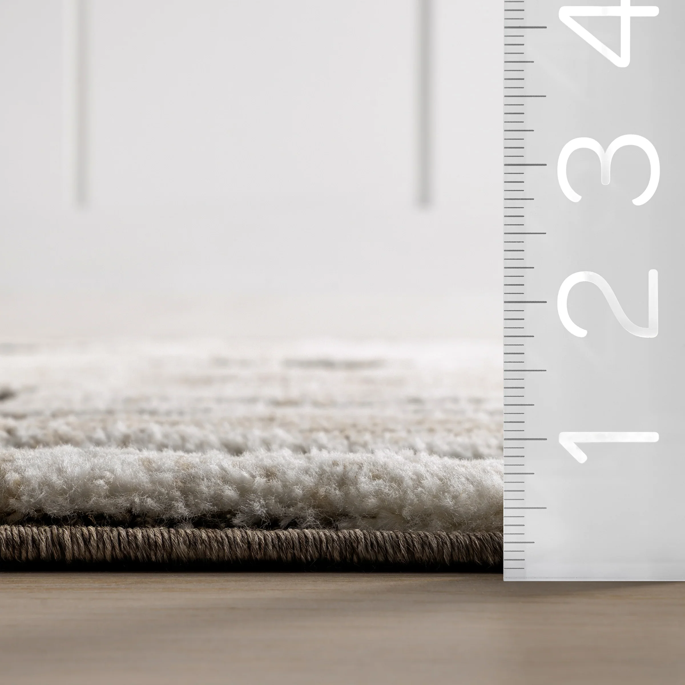 Gatsby Southwestern Tasseled Area Rug 2' 8" x 8' - Image 3