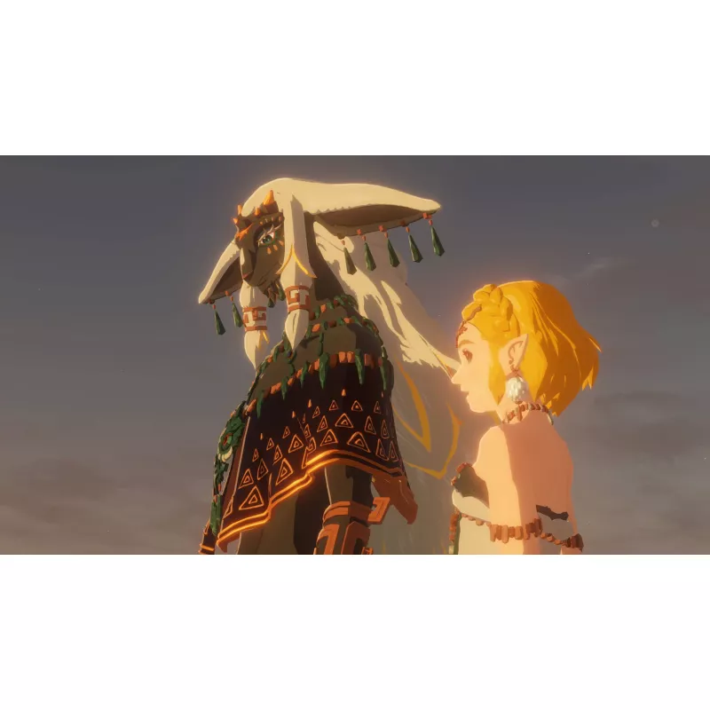 Hyrule Warriors: Age of Imprisonment - Switch 2
