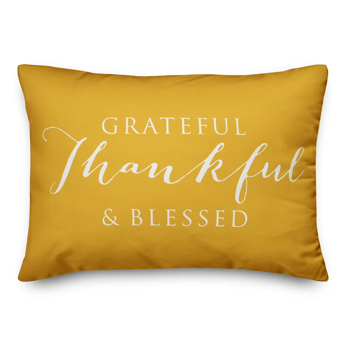 Indoor/Outdoor Throw Pillow