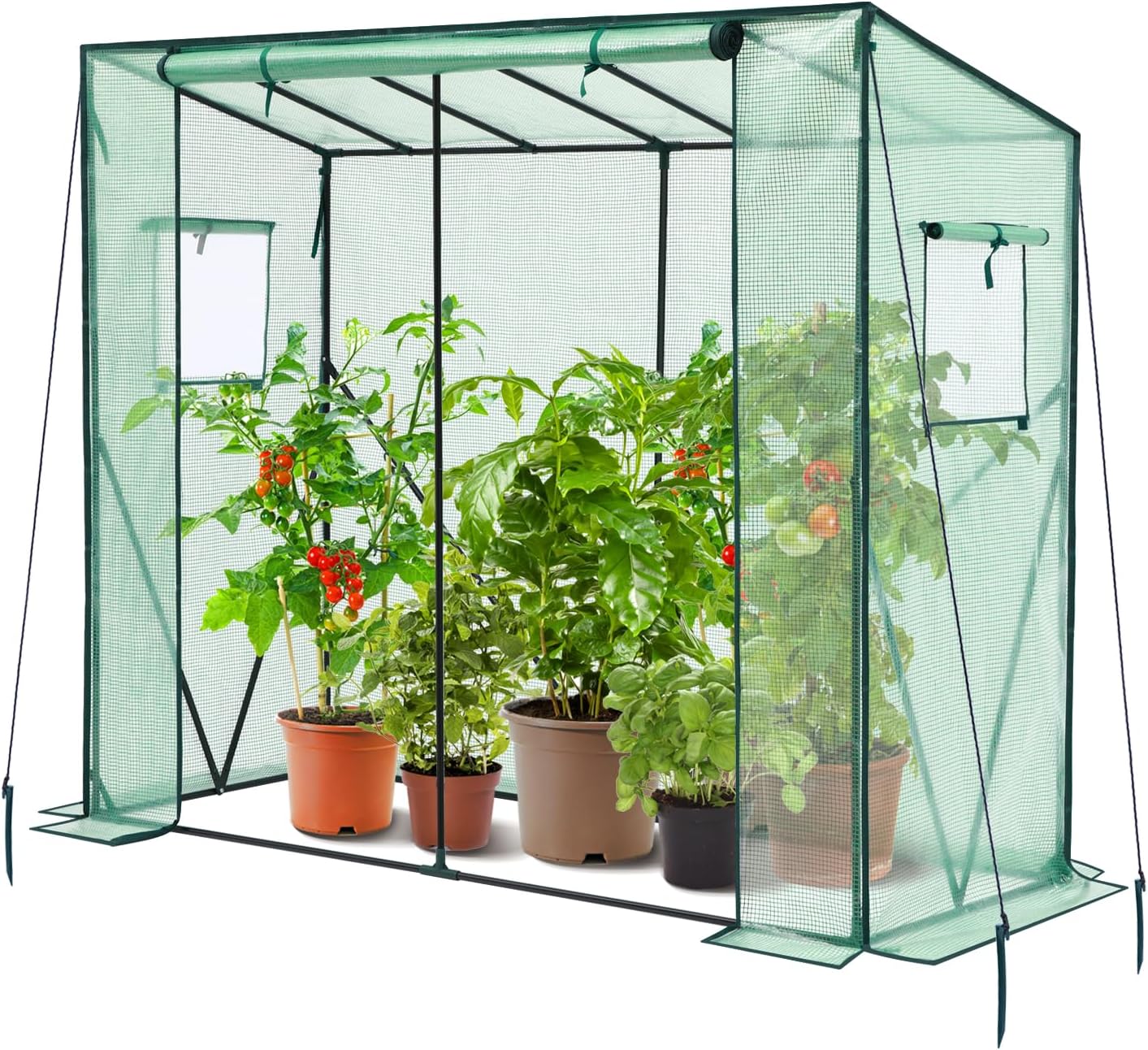 Lean to Greenhouse for Outdoors