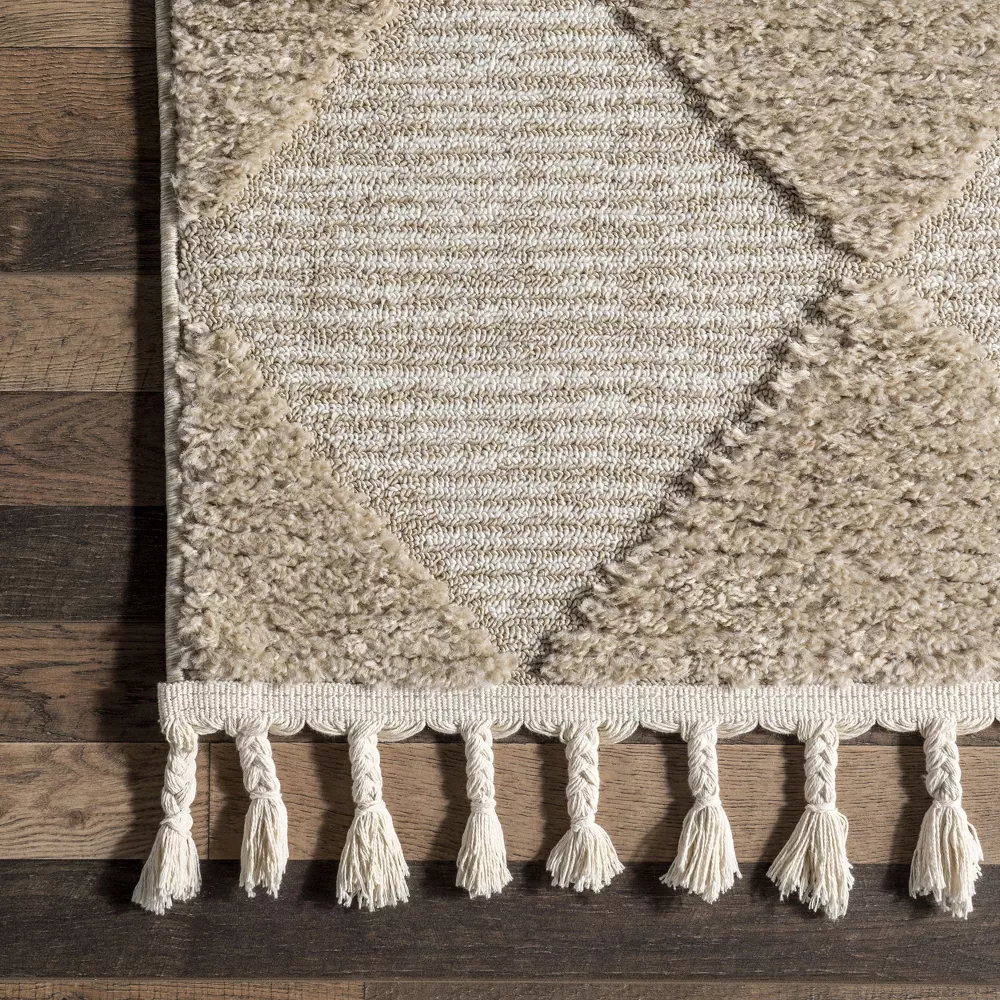 Marissa High/Low Diamond Tassel Indoor Area Rug - Image 2