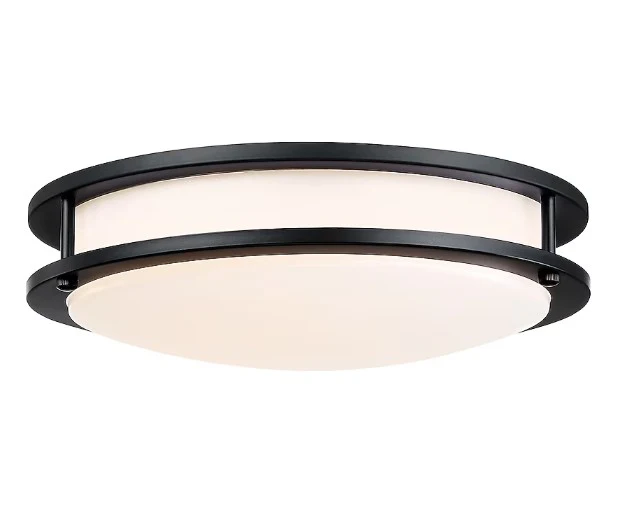 Matte Black Indoor LED Flush Mount Light Plastic Shade Set of 2