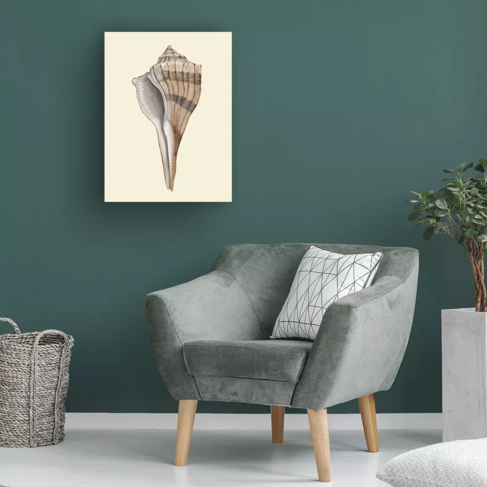 Michael Willett Neutral-Toned Seashells IV Canvas Art - Image 3
