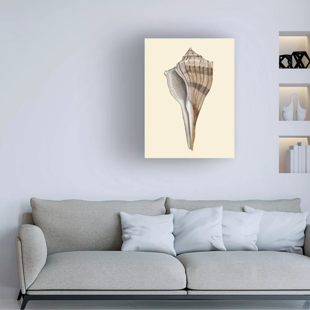 Michael Willett Neutral-Toned Seashells IV Canvas Art - Image 4