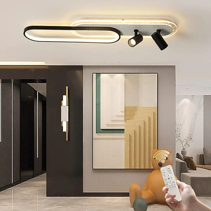 Modern Ceiling Lamp