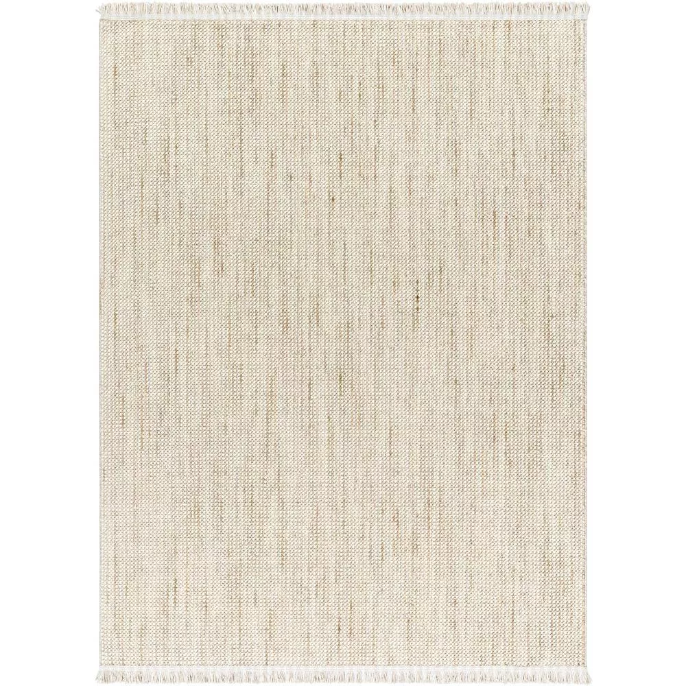 New Delhi Woven Indoor Area Rugs Tan 3x5