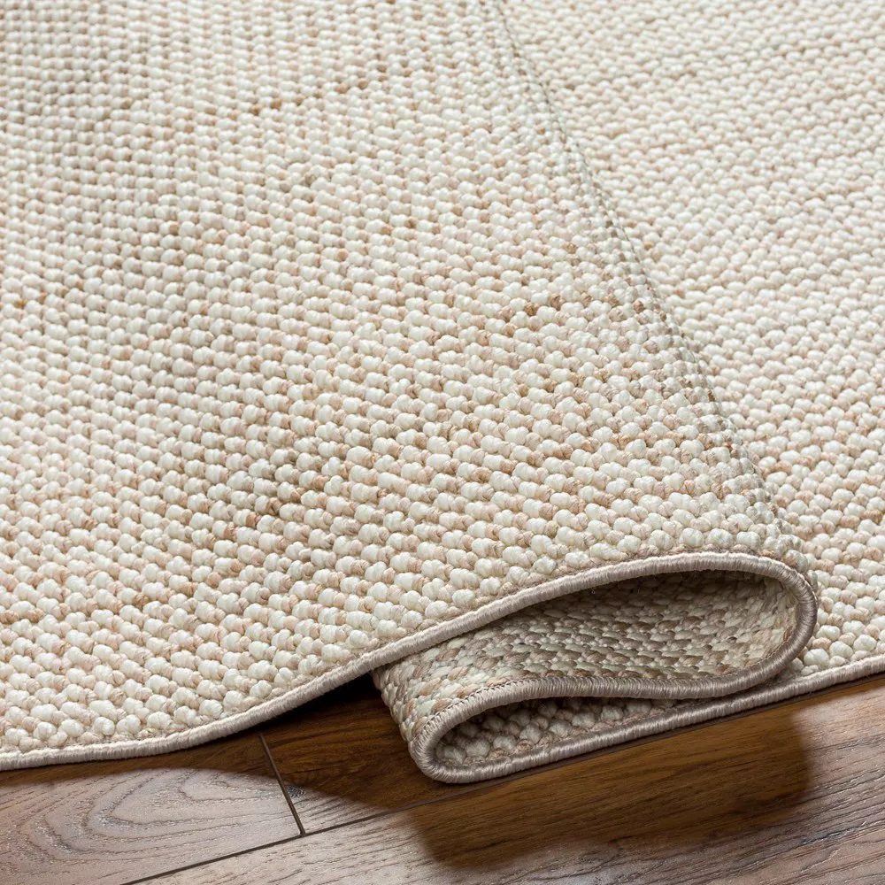 New Delhi Woven Indoor Area Rugs Tan 3x5 - Image 3