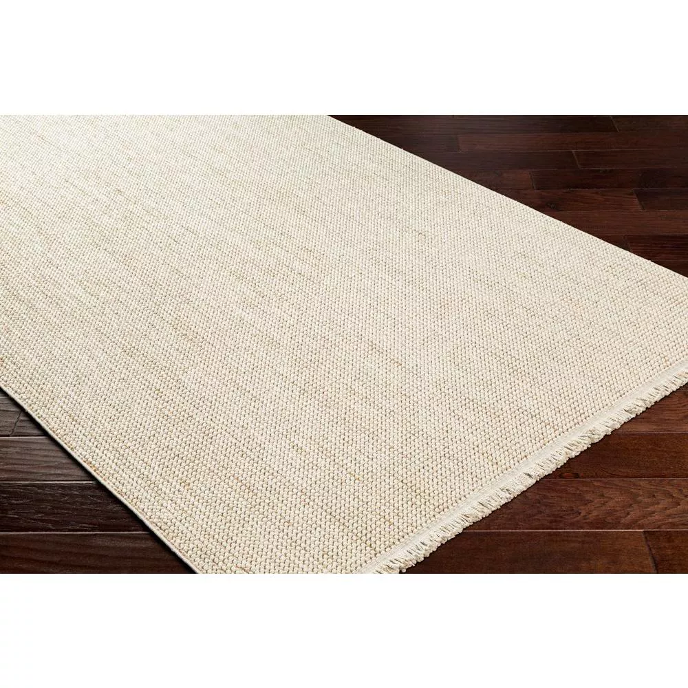 New Delhi Woven Indoor Area Rugs Tan 3x5 - Image 5
