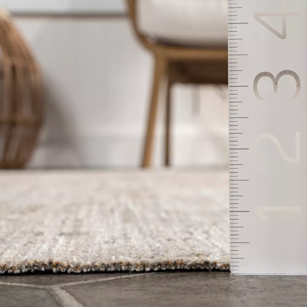 Aine Bordered Machine Washable Pet Friendly Area Rug - Image 2