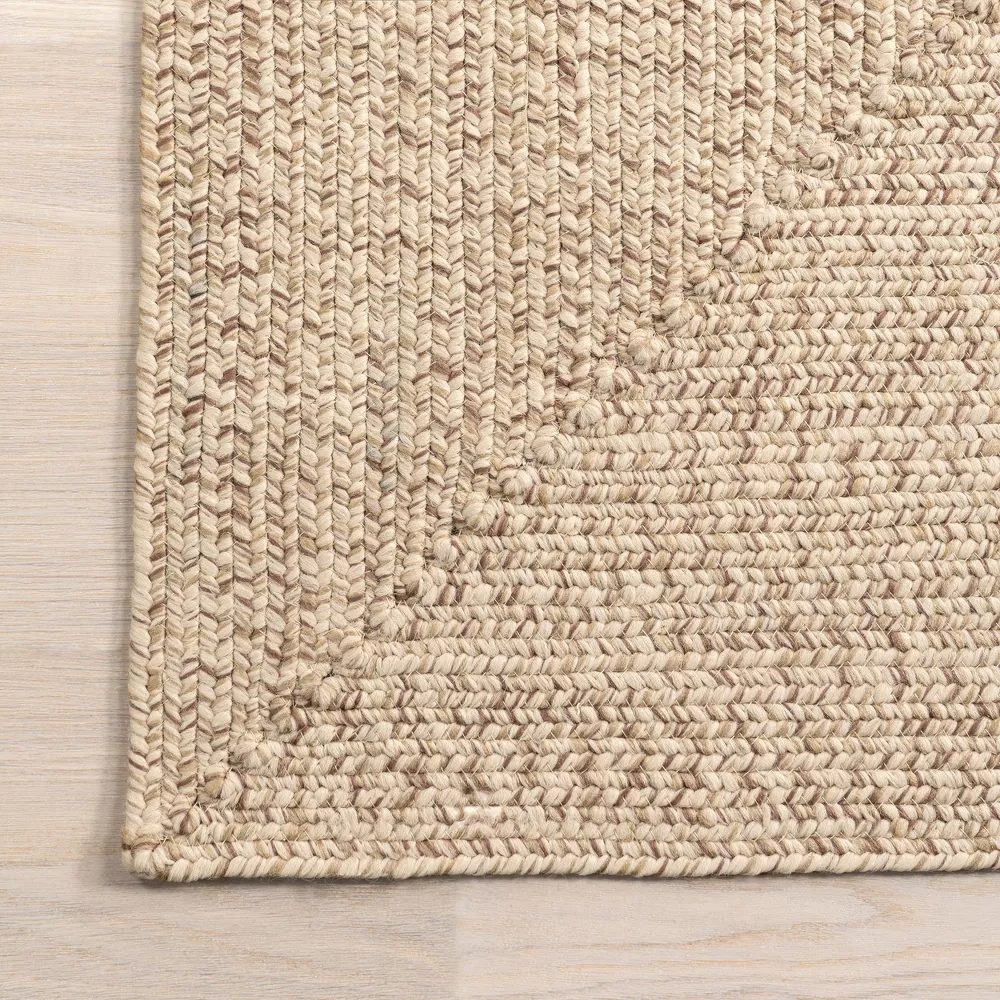 Wynn Braided Indoor/Outdoor Area Rug, 4' x 6', Tan - Image 4