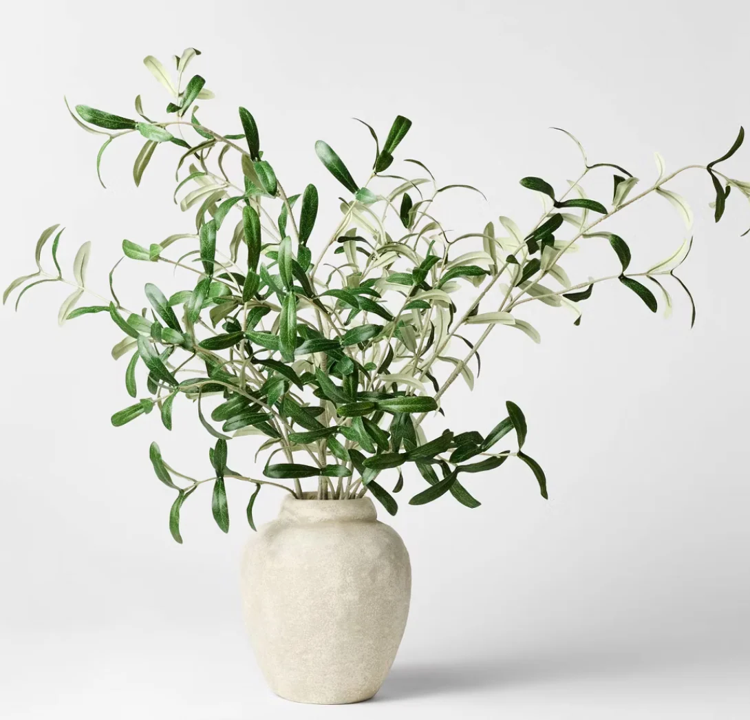 Olive Leaf Potted Arrangement - SHOWROOM ITEM