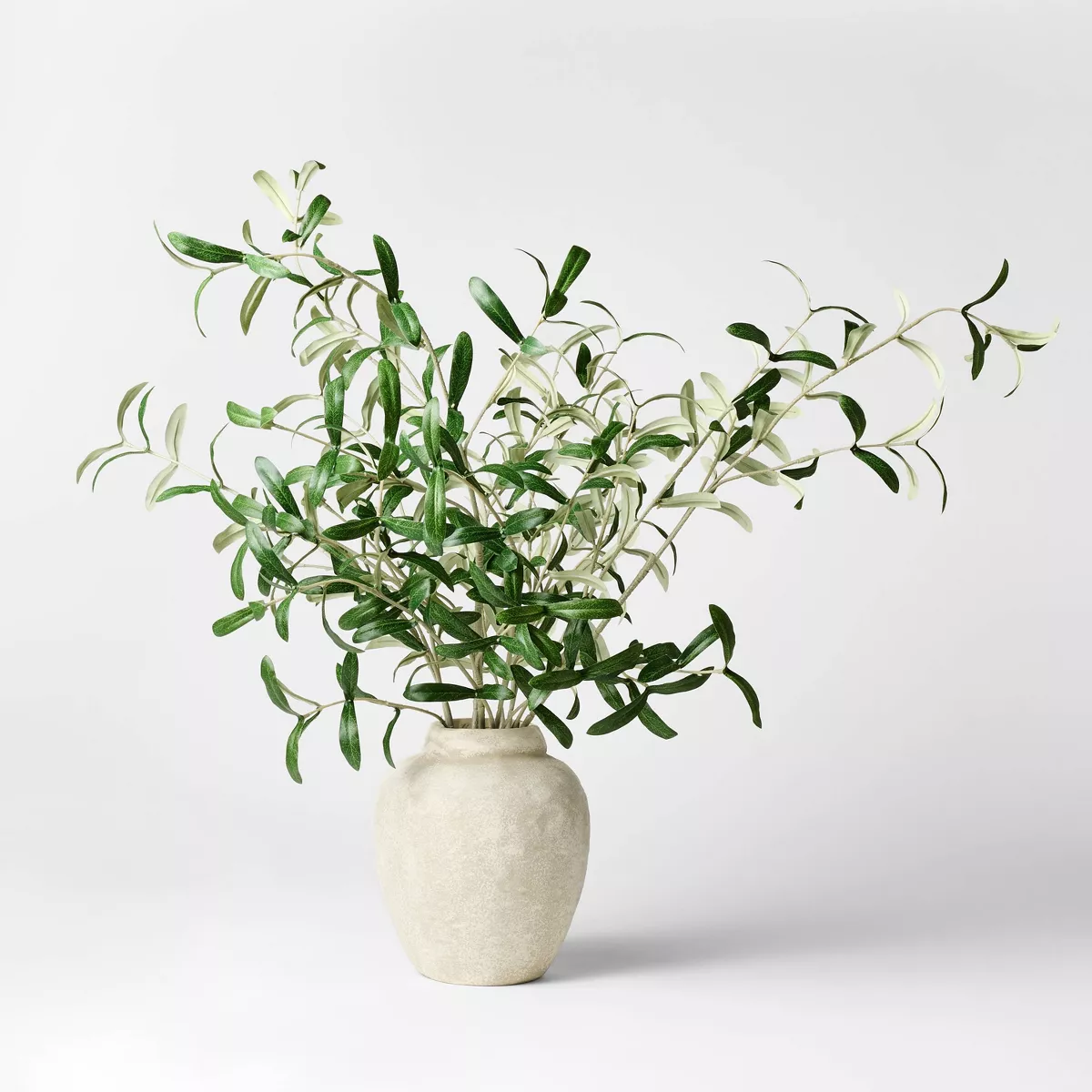 Olive Leaf Potted Arrangement - Threshold™ designed with Studio McGee - SHOWROOM ITEM
