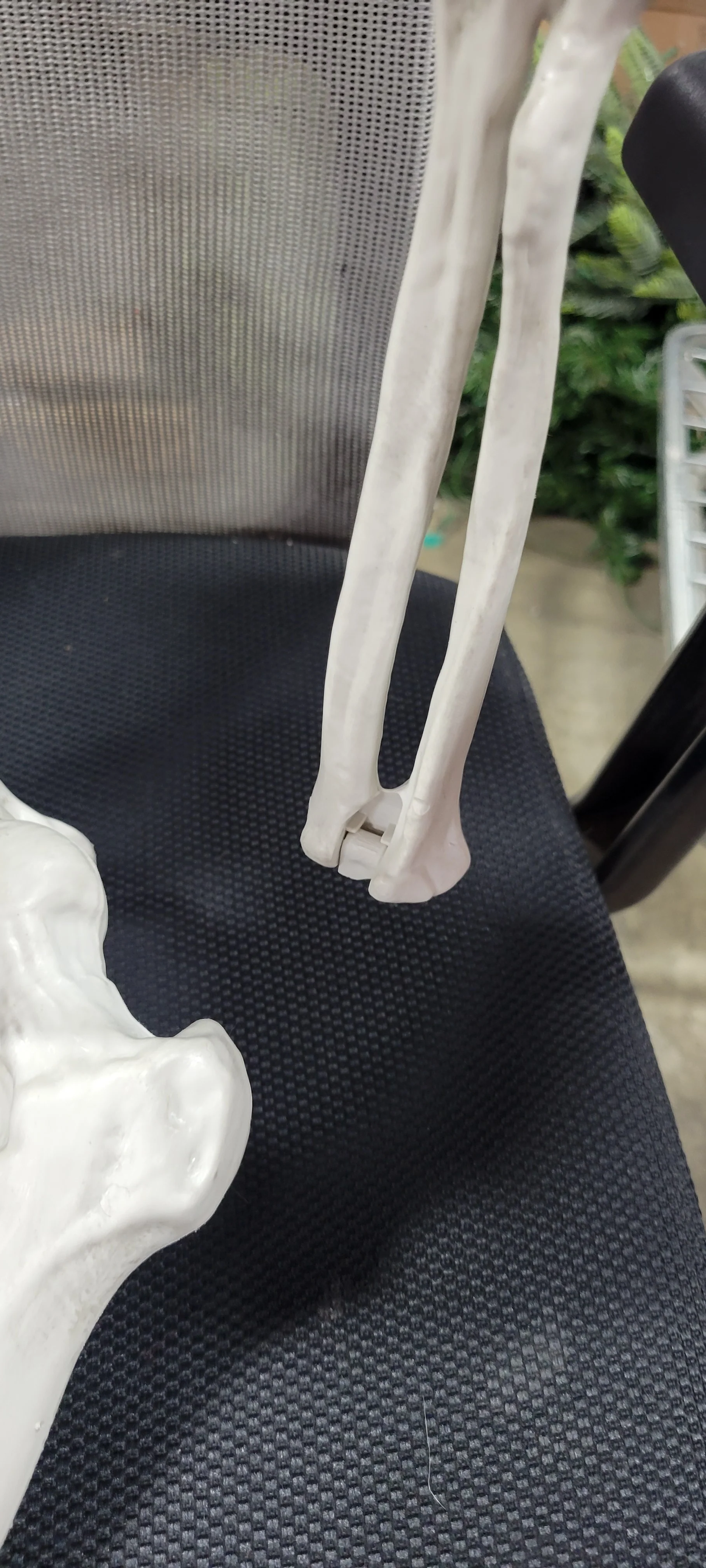 Posable Skeleton Party Decoration, - Image 6