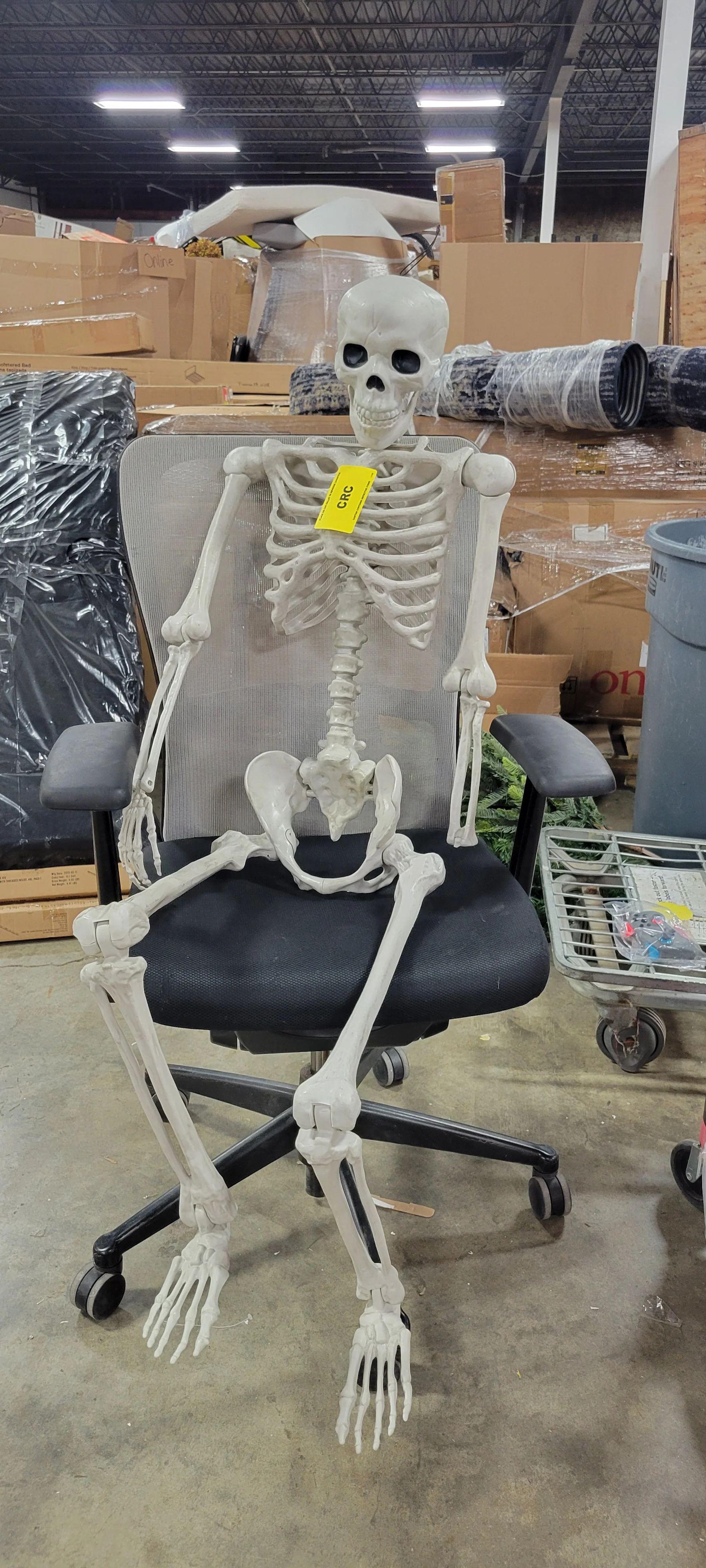 Posable Skeleton Party Decoration, - Image 7