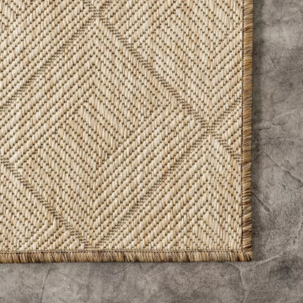 Ray Trellis Indoor/Outdoor Area Rug, Brown/Ivory 9x12 - Image 3